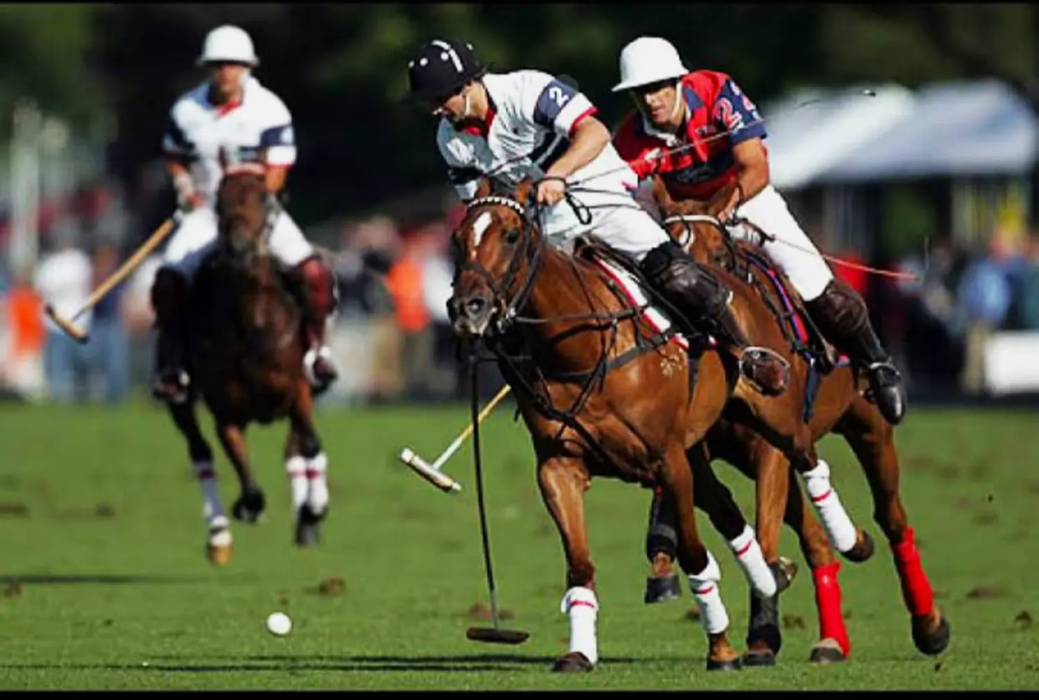 🎖️🌐Where Legends Meet Reality.The Timeless Sport of Polo. 1