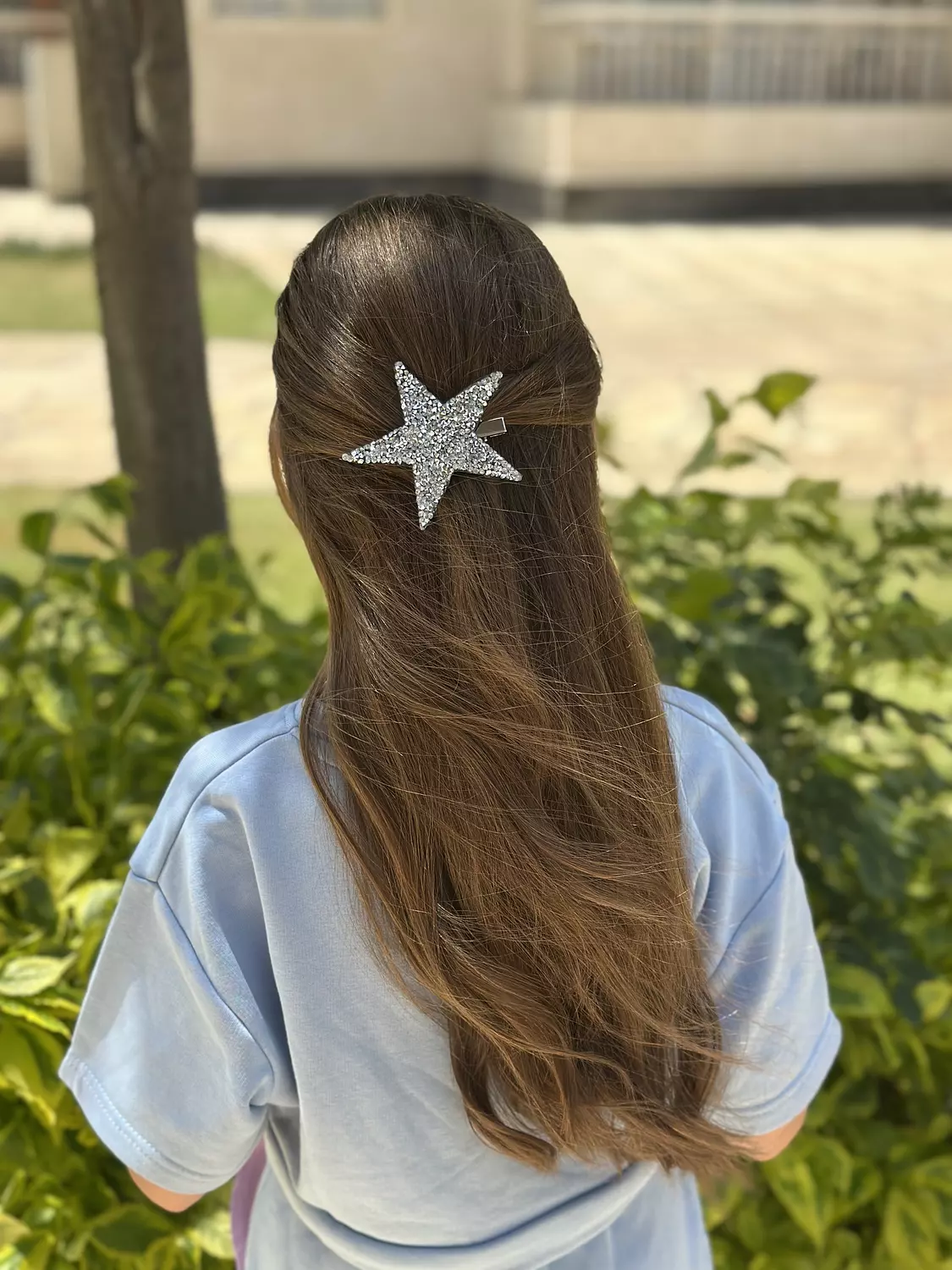 Star clips  2