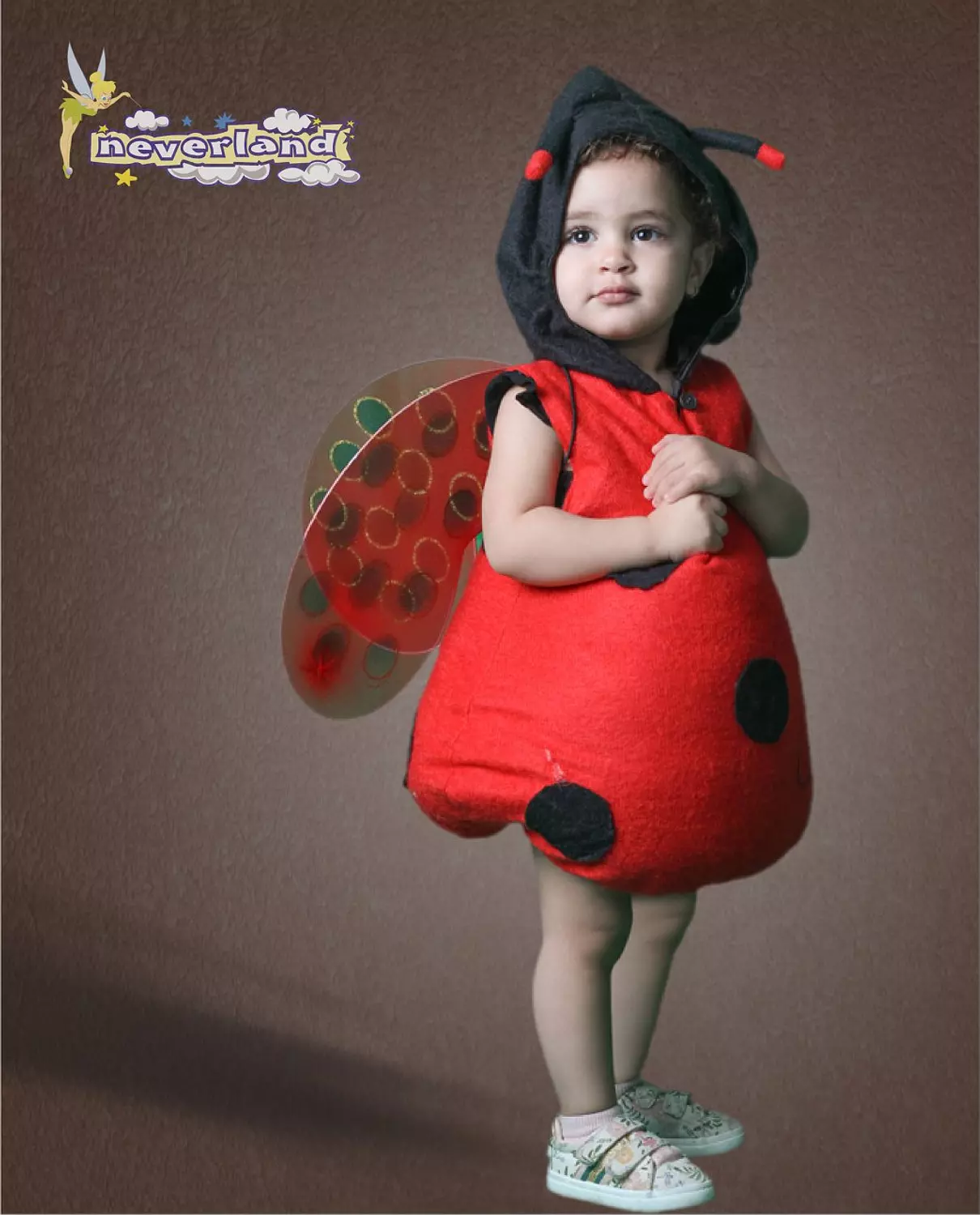 Lady Bug image