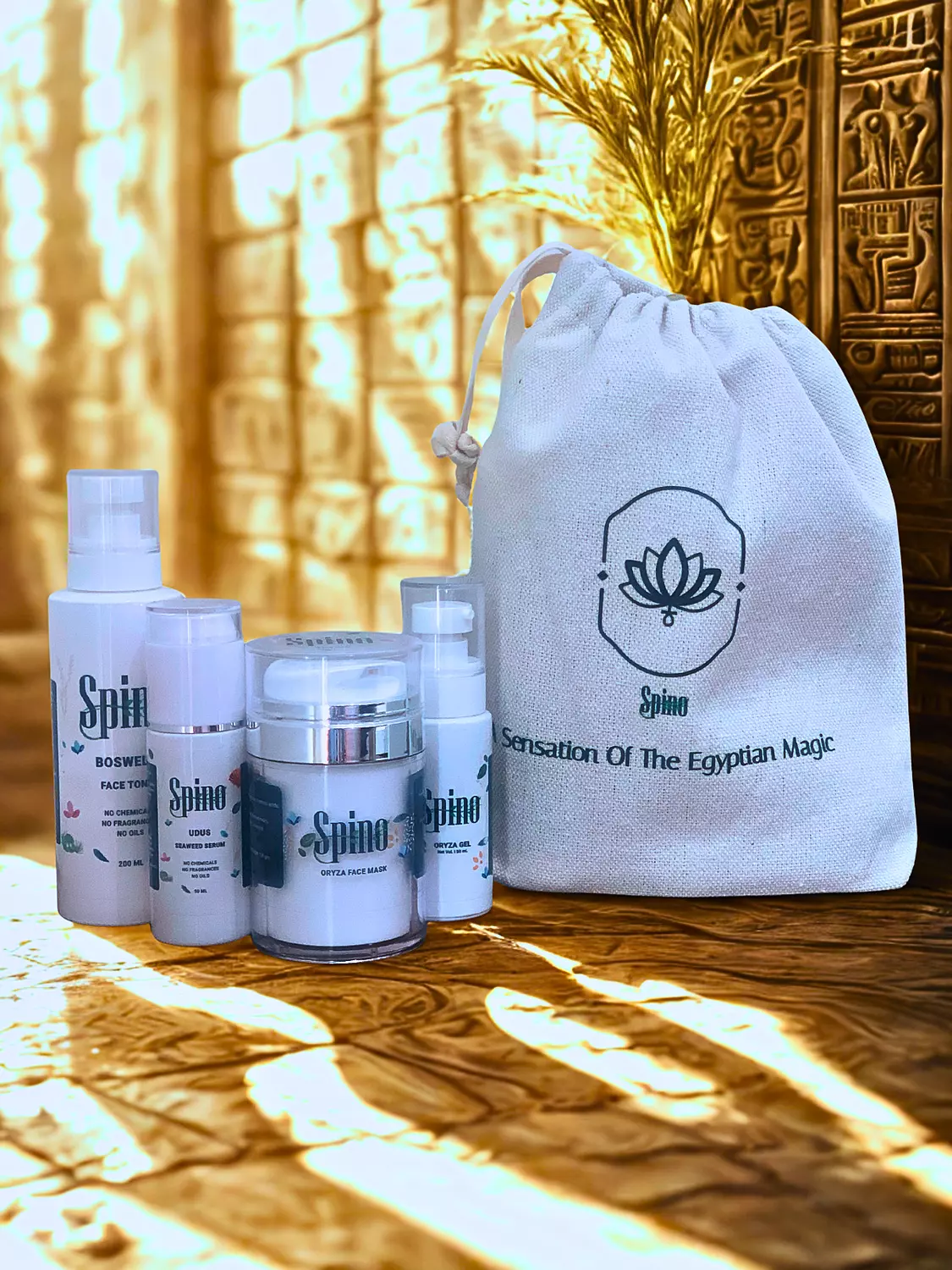 <p style="text-align: start"></p><p style="text-align: start"></p>