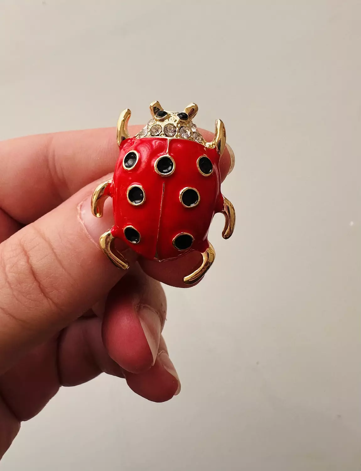 Lady bug 2 image