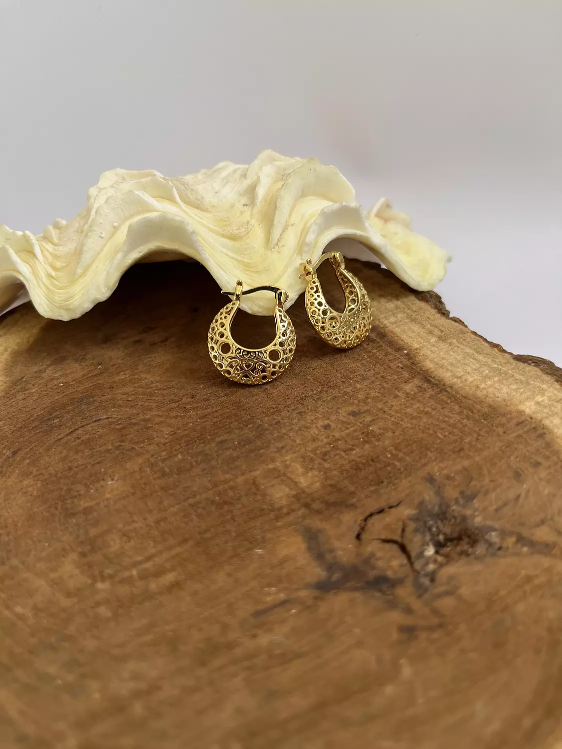 Beauty earrings  image