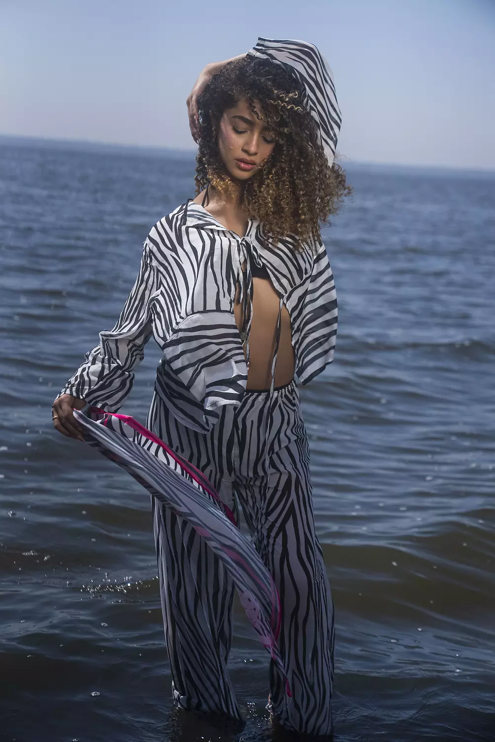  The Soul Collection - Zebra Set 1