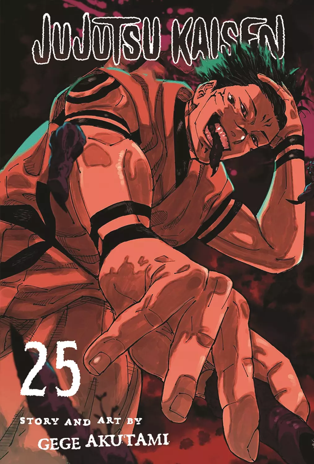 Jujutsu Kaisen 25 image