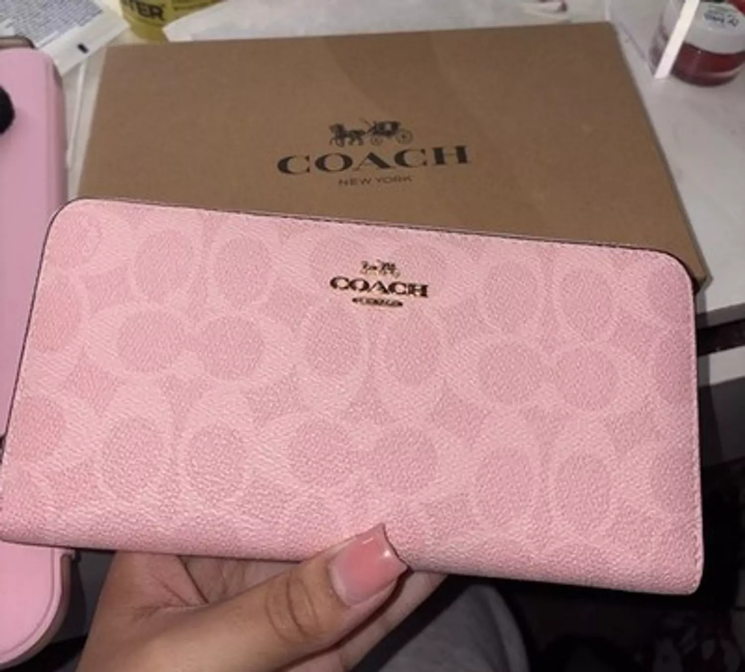 LONG ZIP AROUND WALLET IN powder pink 1