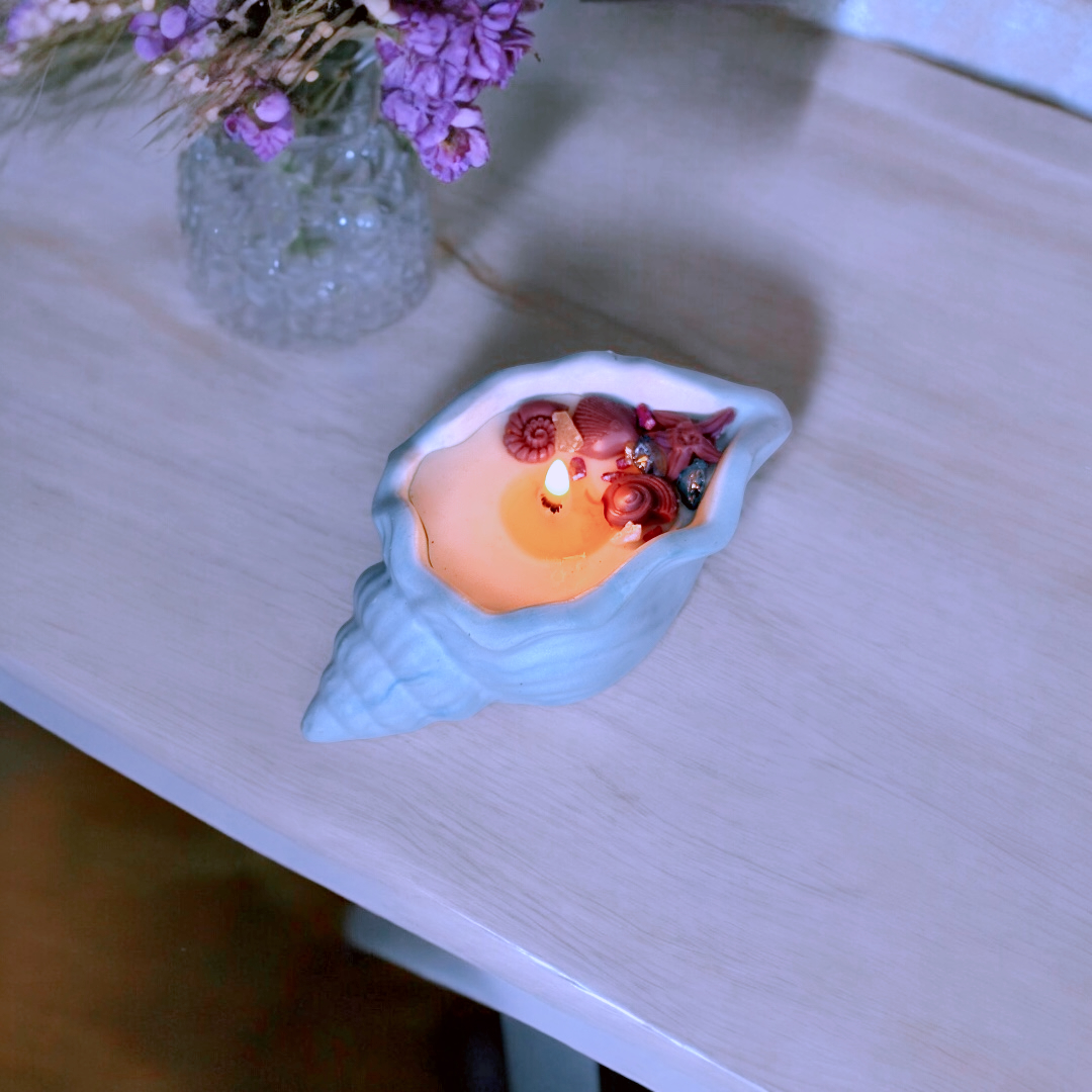 Shell Breeze  image