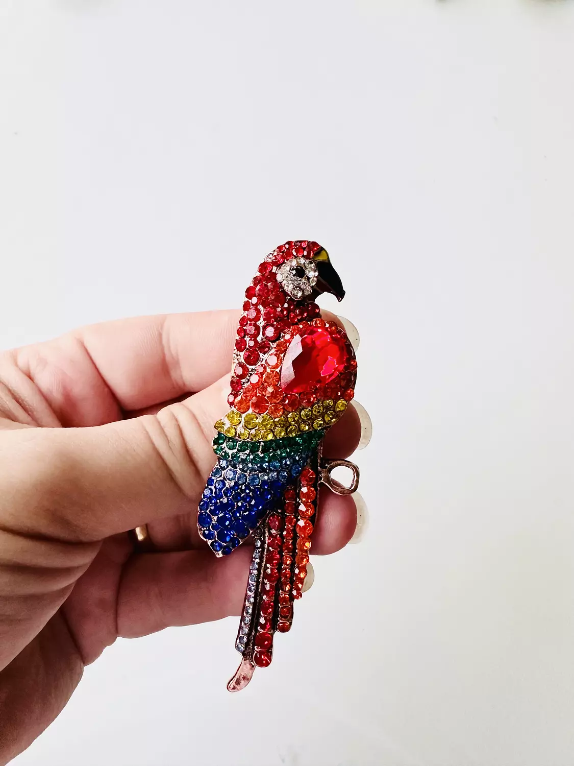 parrot image
