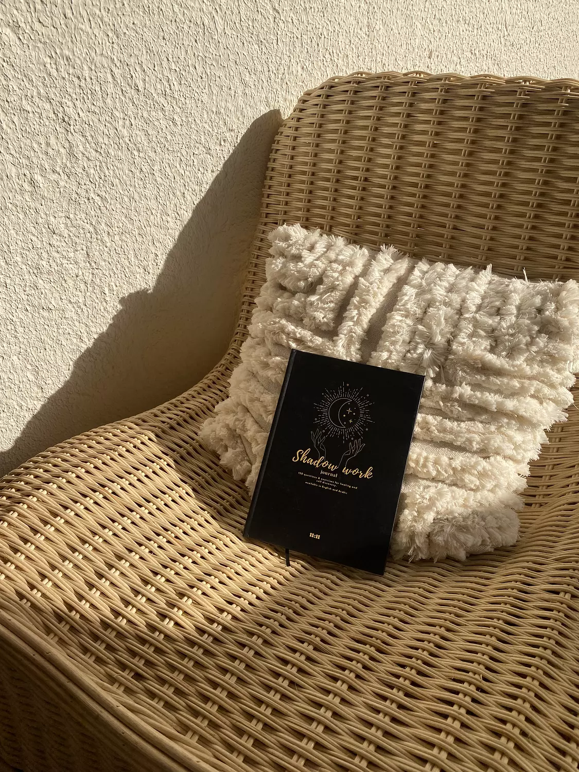 Shadow Work journal 6