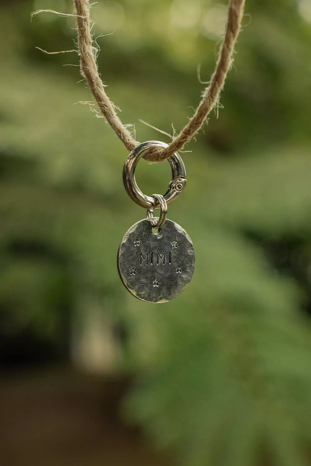 Starry Night Pet Tag 2