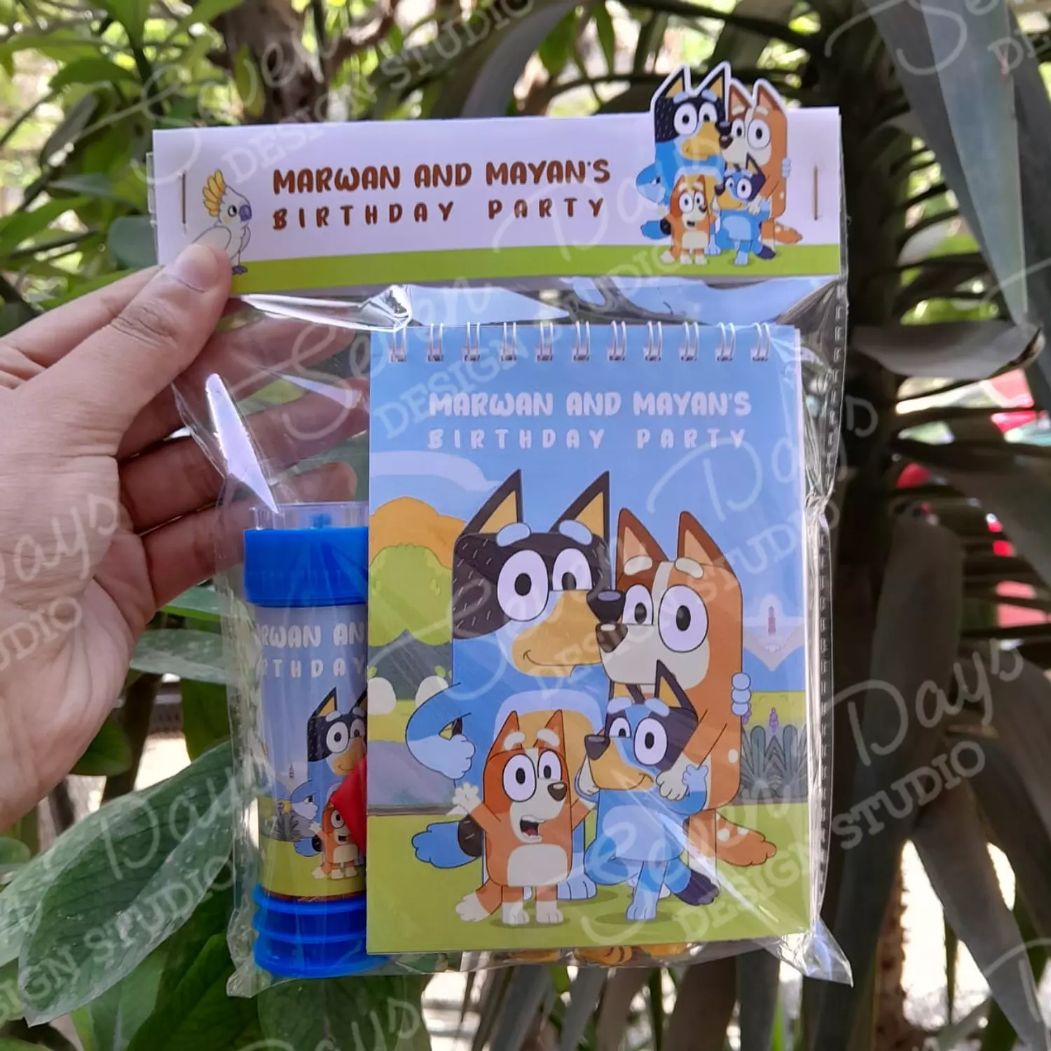 Bluey and Bingo Giveaways 5