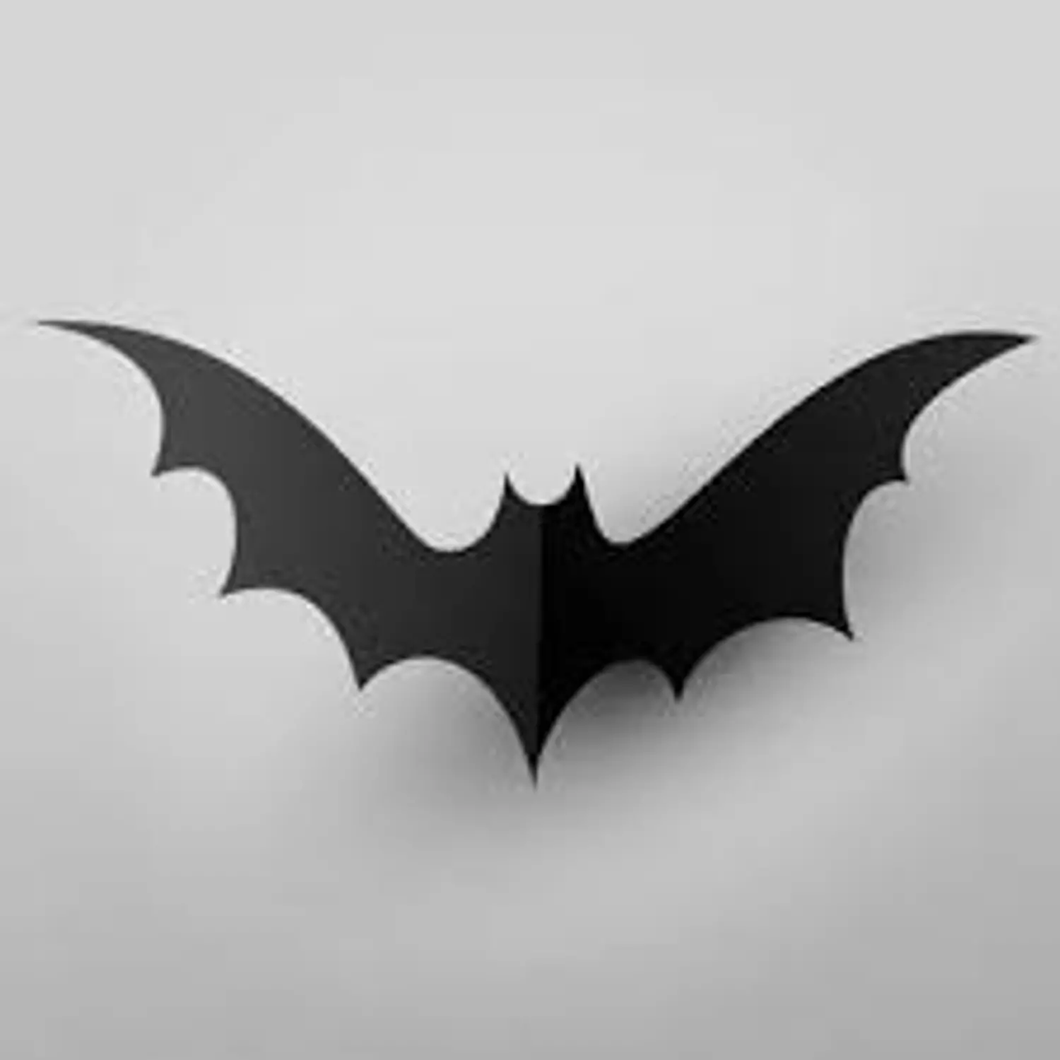 Bat/Spider Large Wall Decor 4