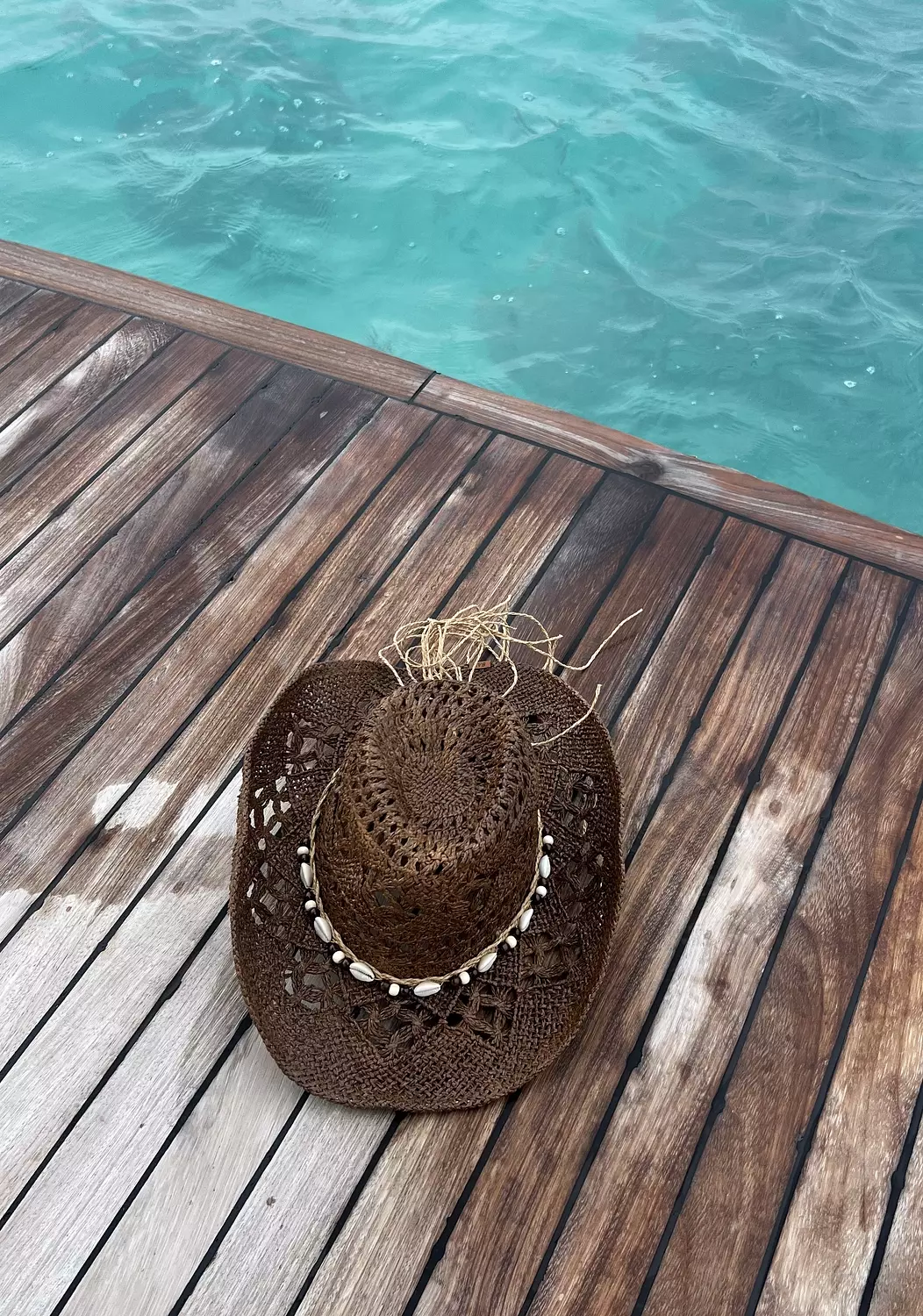 Brown seashell hat  image