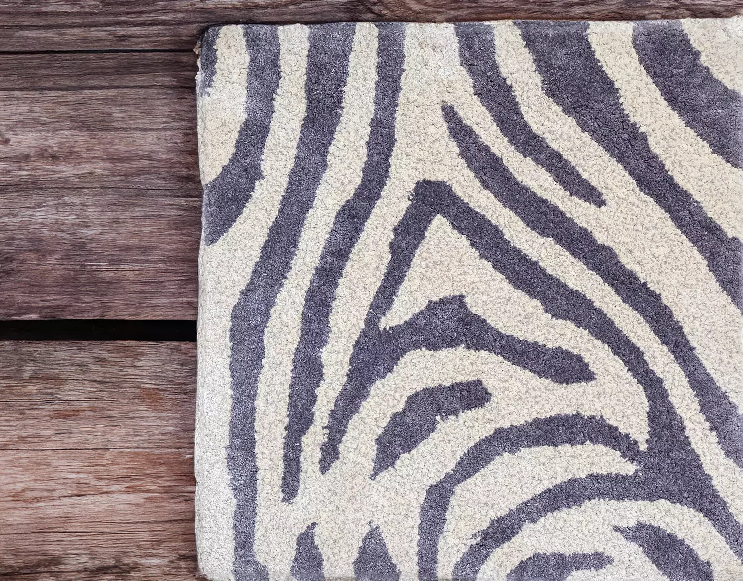 Zebra Spirit  image