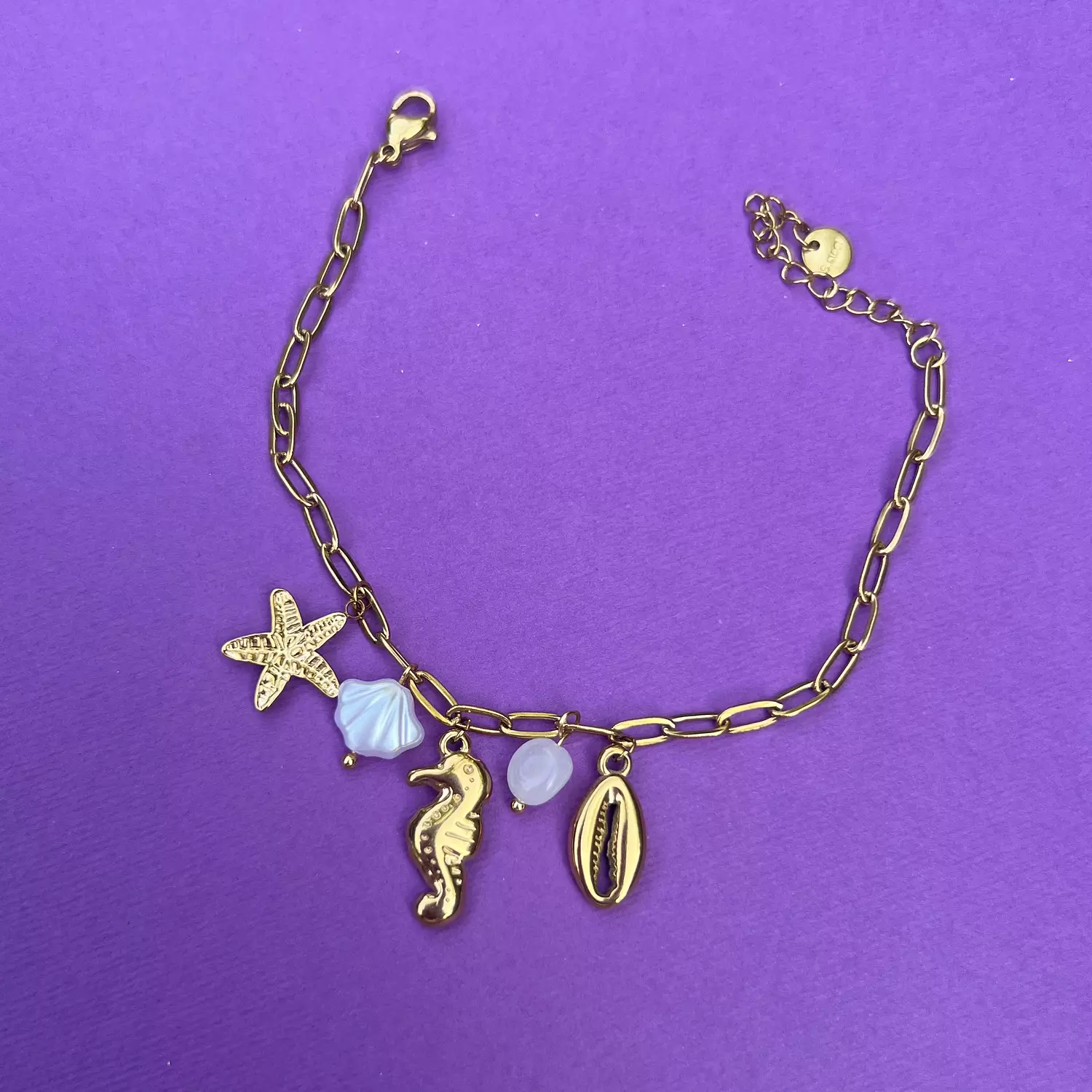 Seahorse Charm bracelet  image