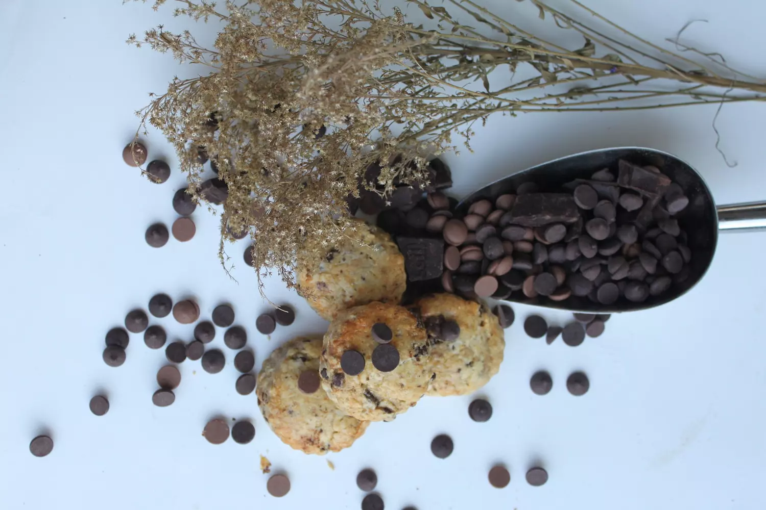 Chocolate Chip Tea Scones 7