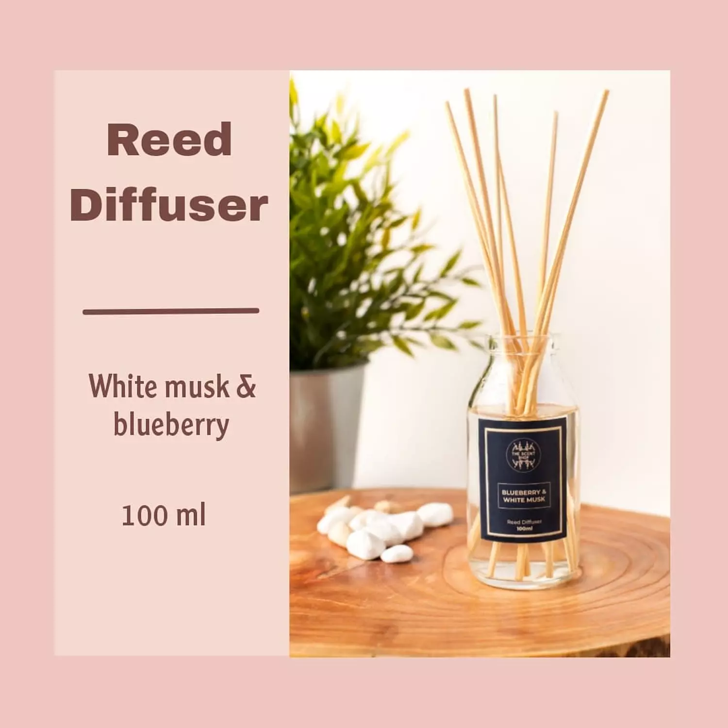 White musk & blueberry scent 