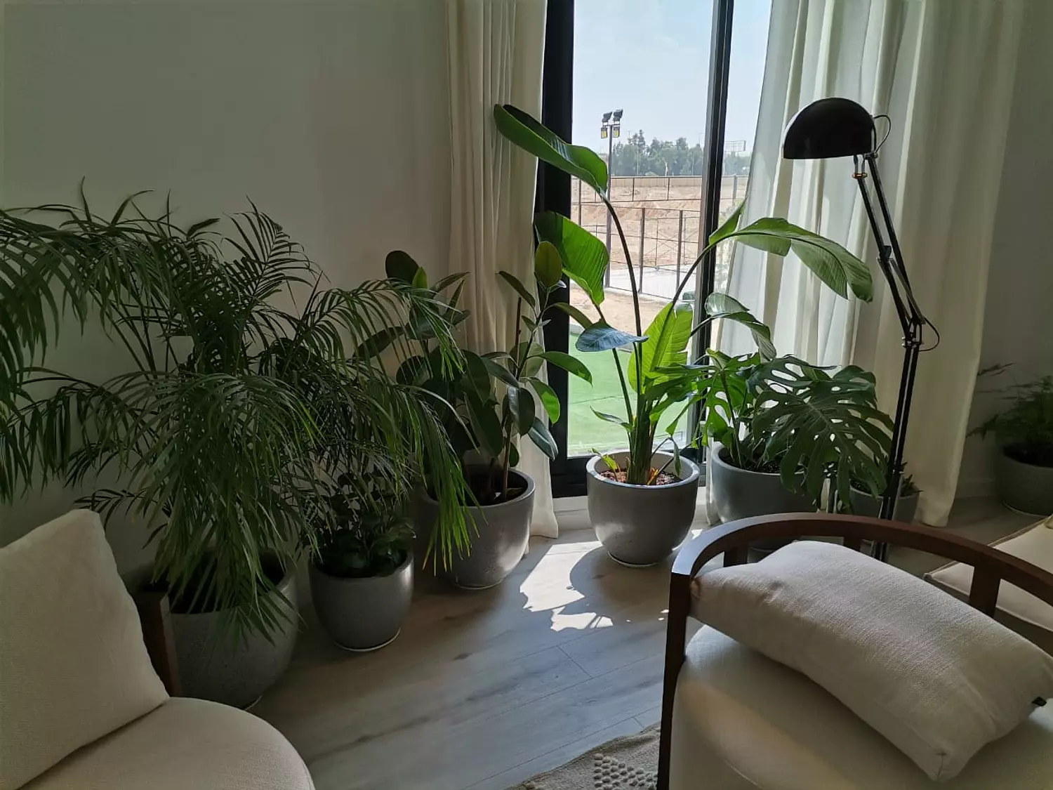 banner image for شتلة