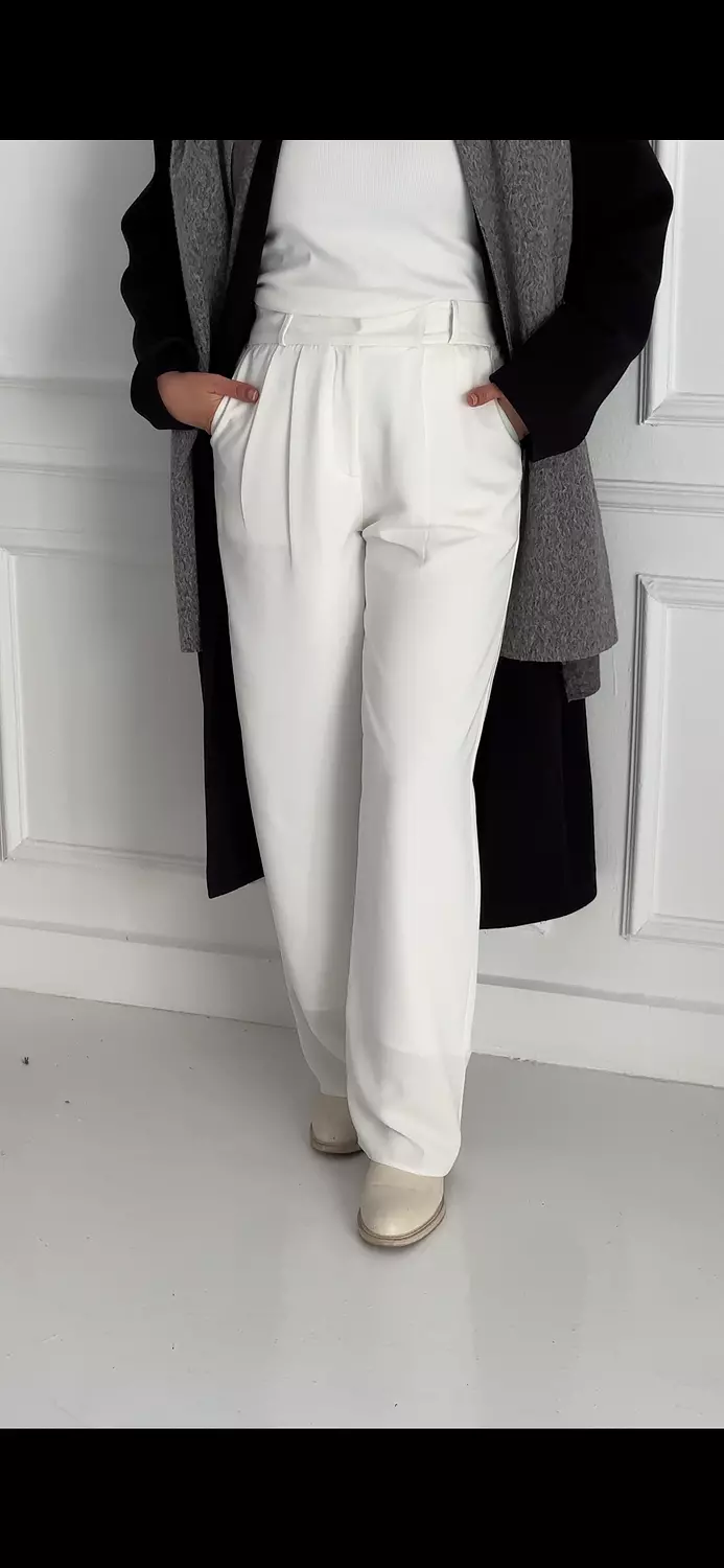 Classic pant image
