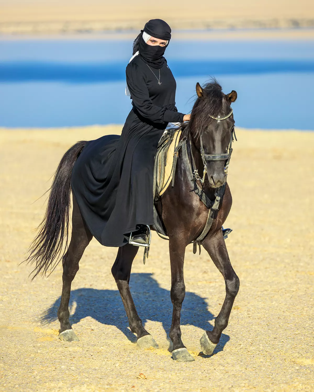 The Black Velvet  image