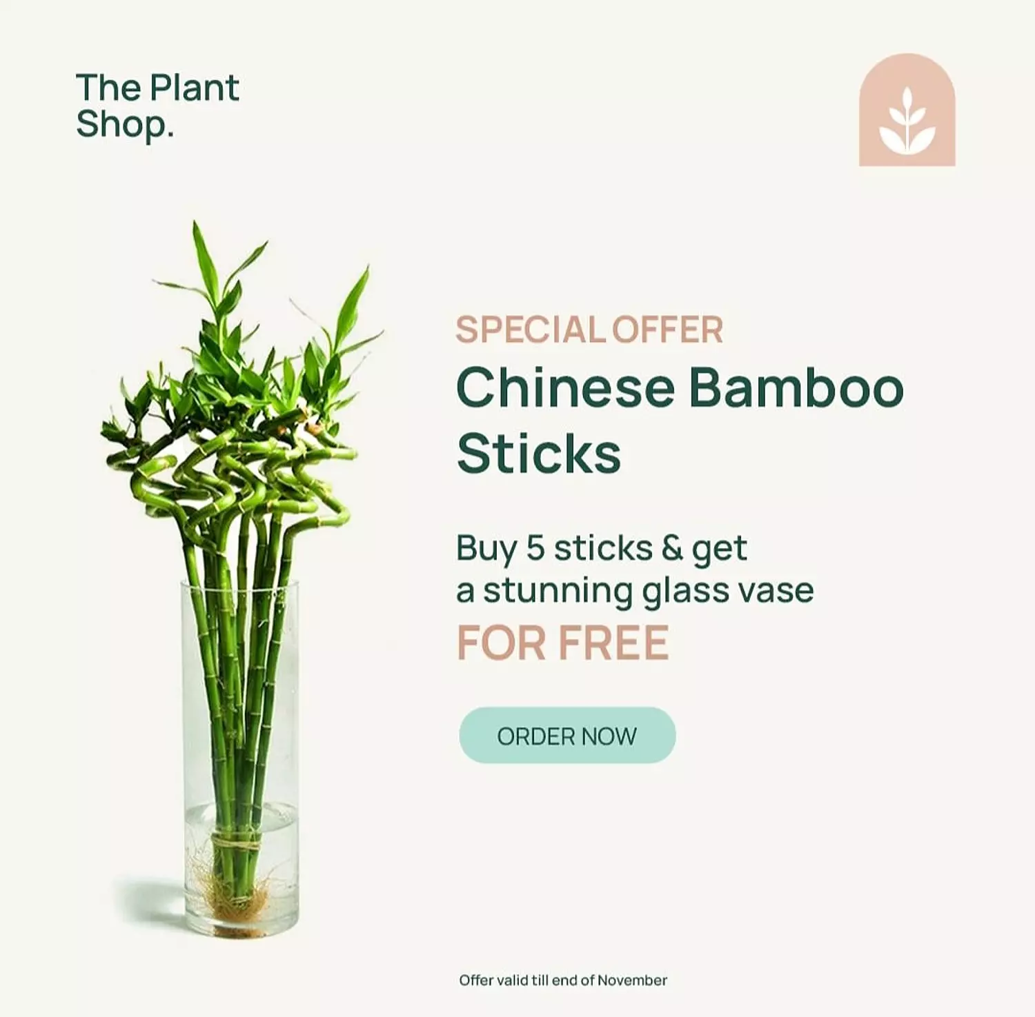 ( Chinese Bamboo (Special Offer  image
