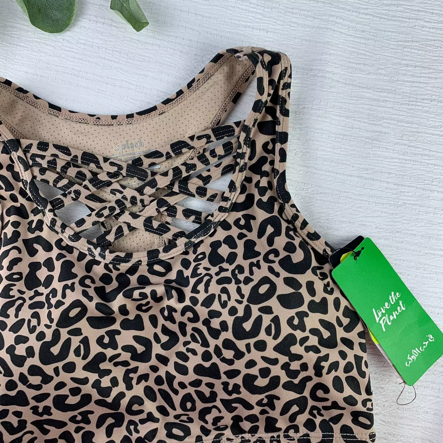Unwired padded bra from Splash 2