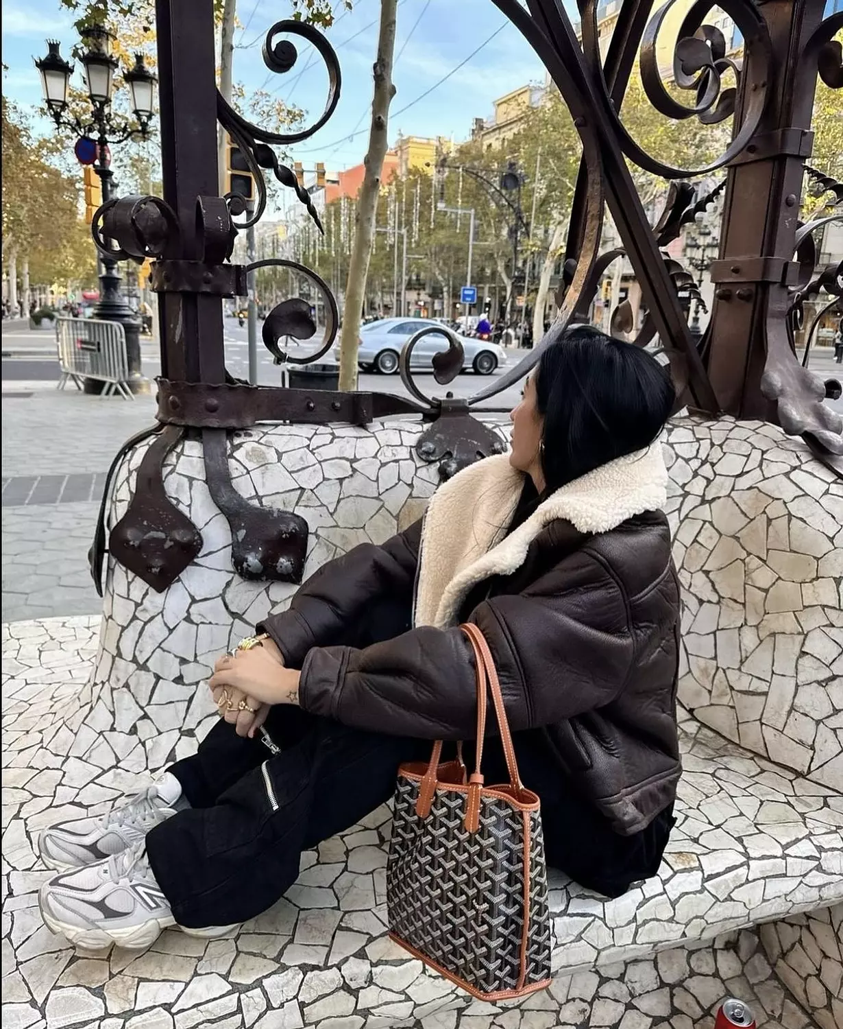 GOYARD ANJOU BAG 1