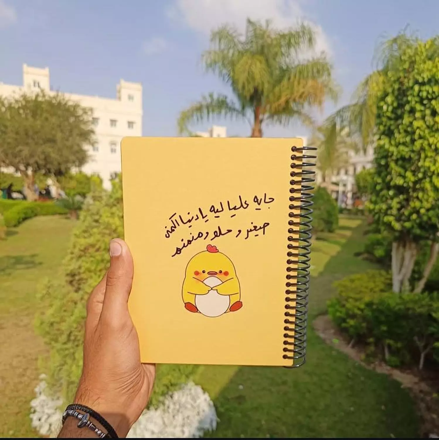 جاية عليا ليه يا دنيا image