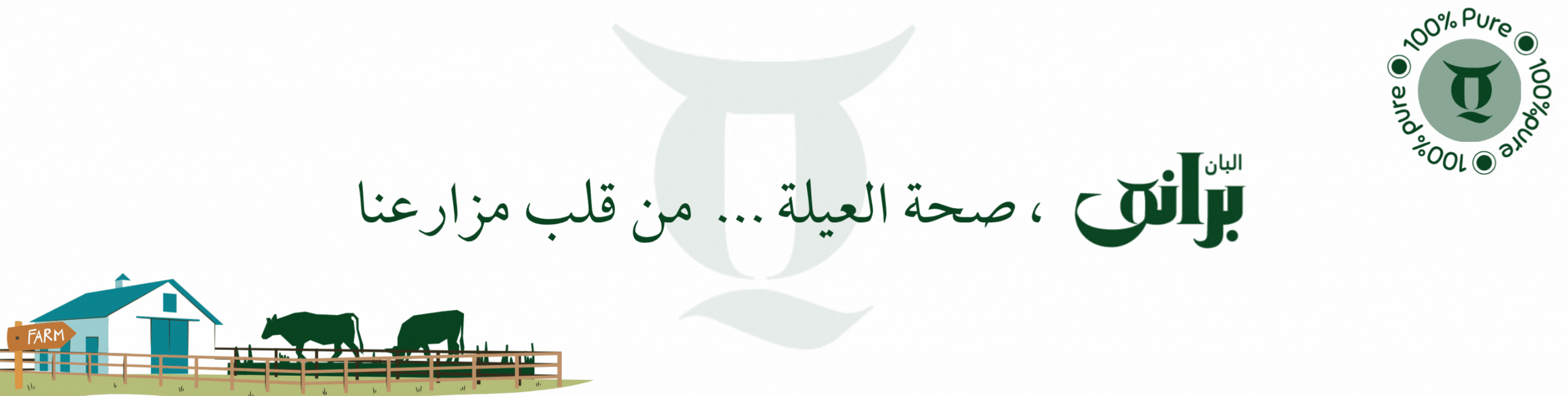 banner image for braneq store