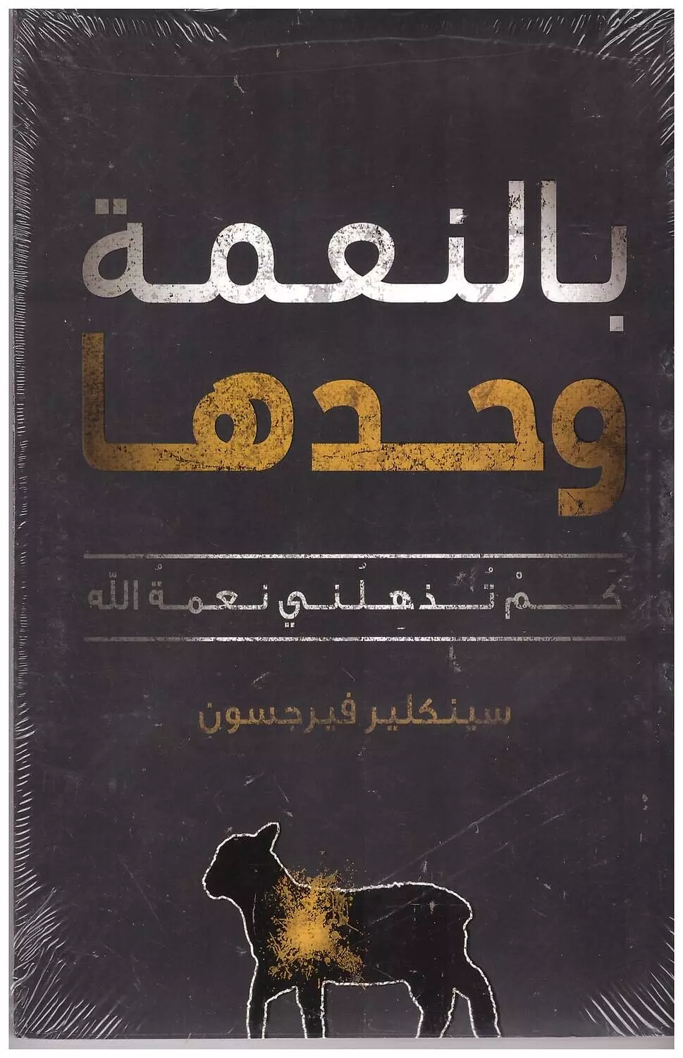بالنعمة وحدها image