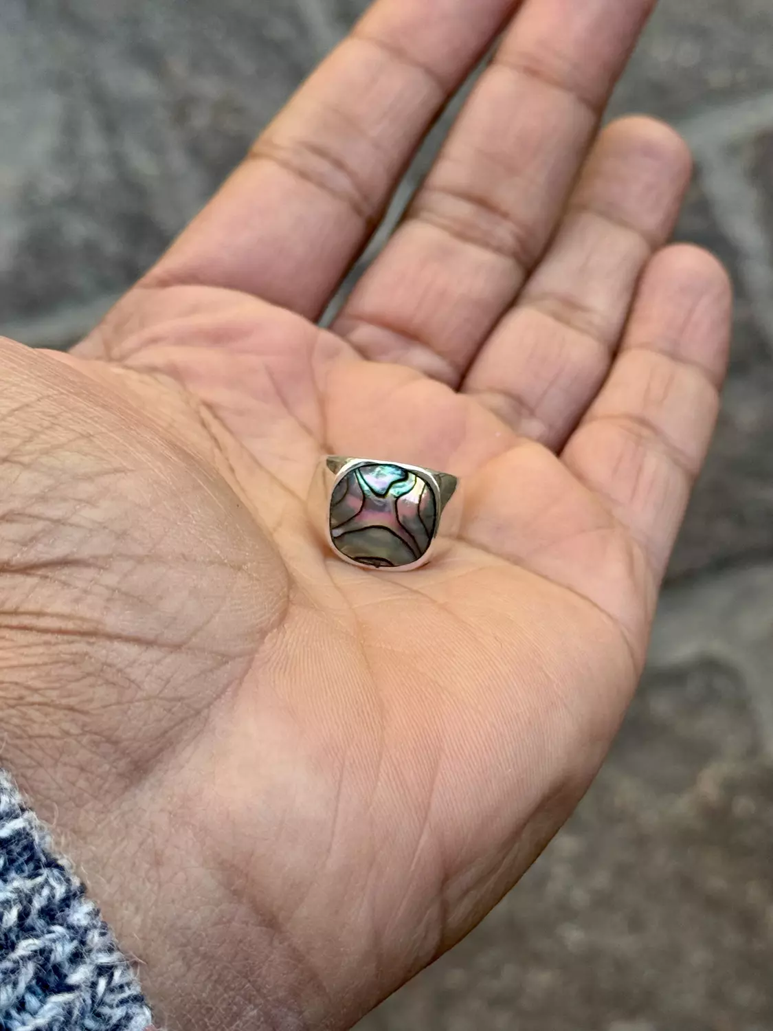 Seashell Allure  image