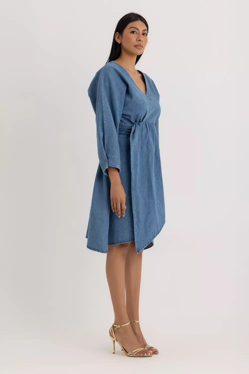 The Denim Aline Relaxed Dress 1