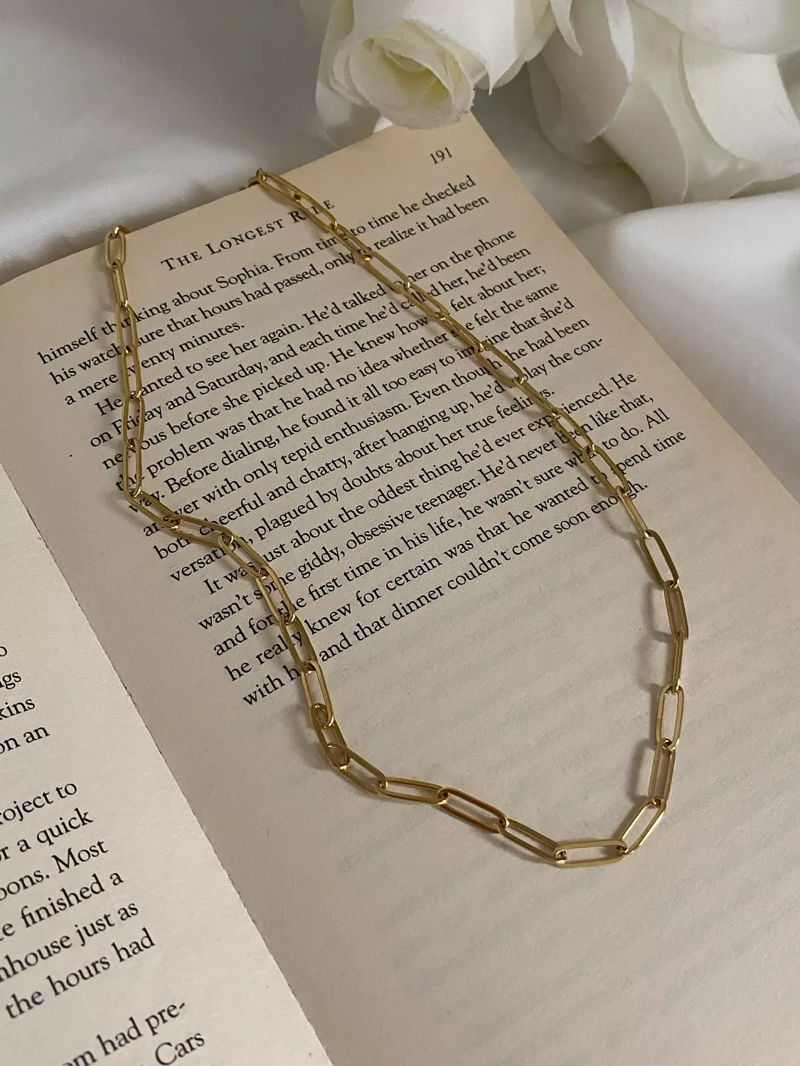 Paperclip Necklace image