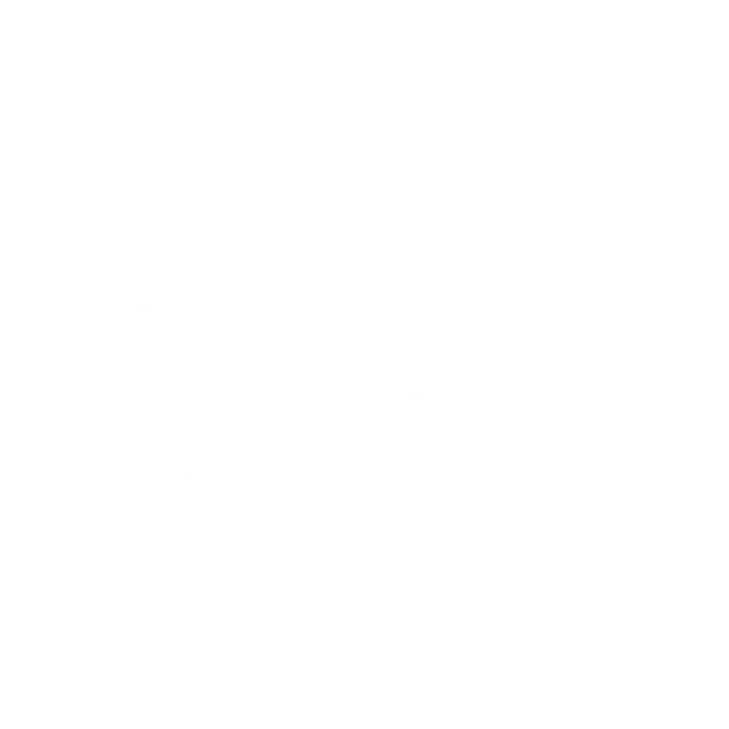 <p style="text-align: start"></p>