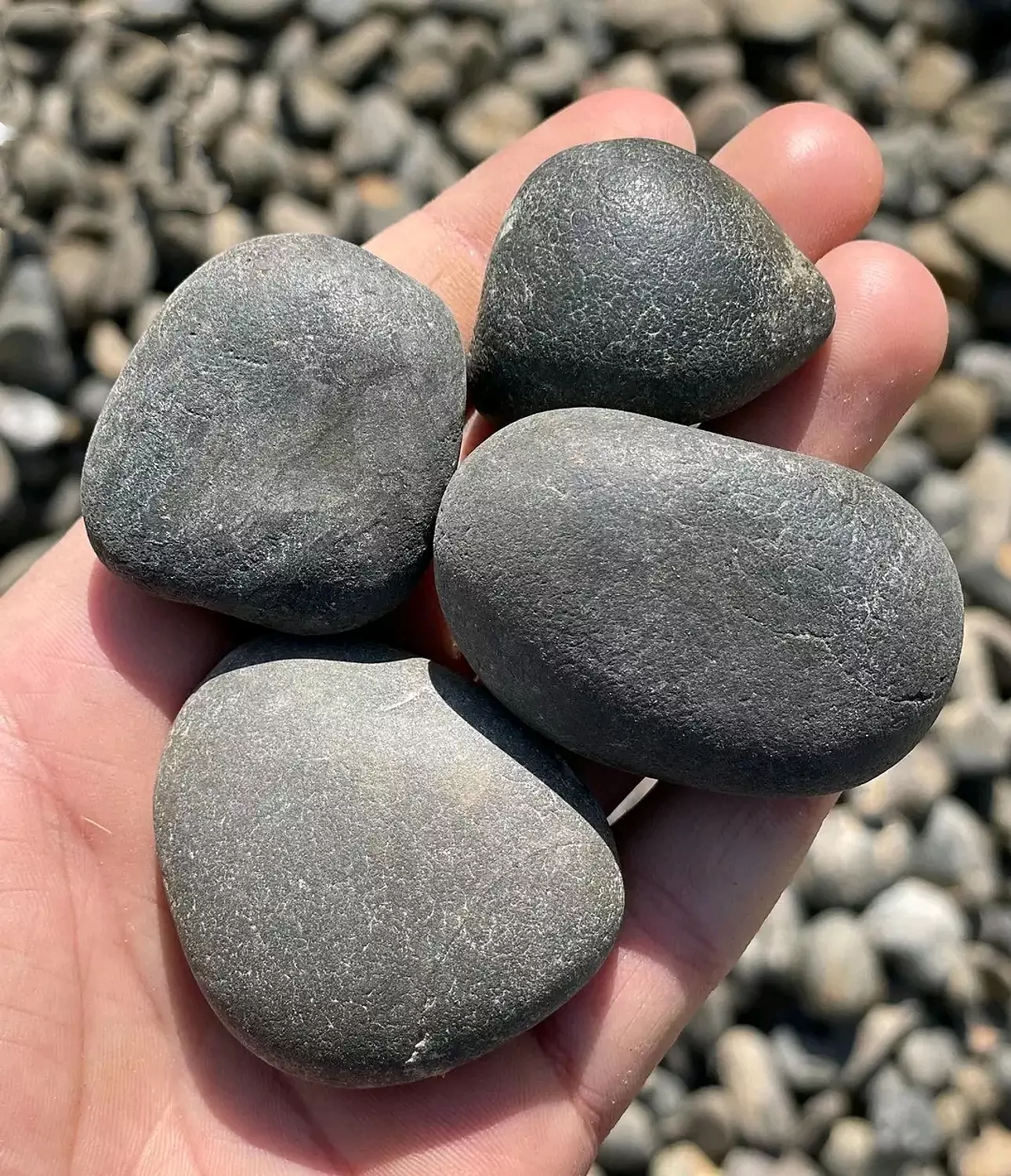 Black Pebbles image
