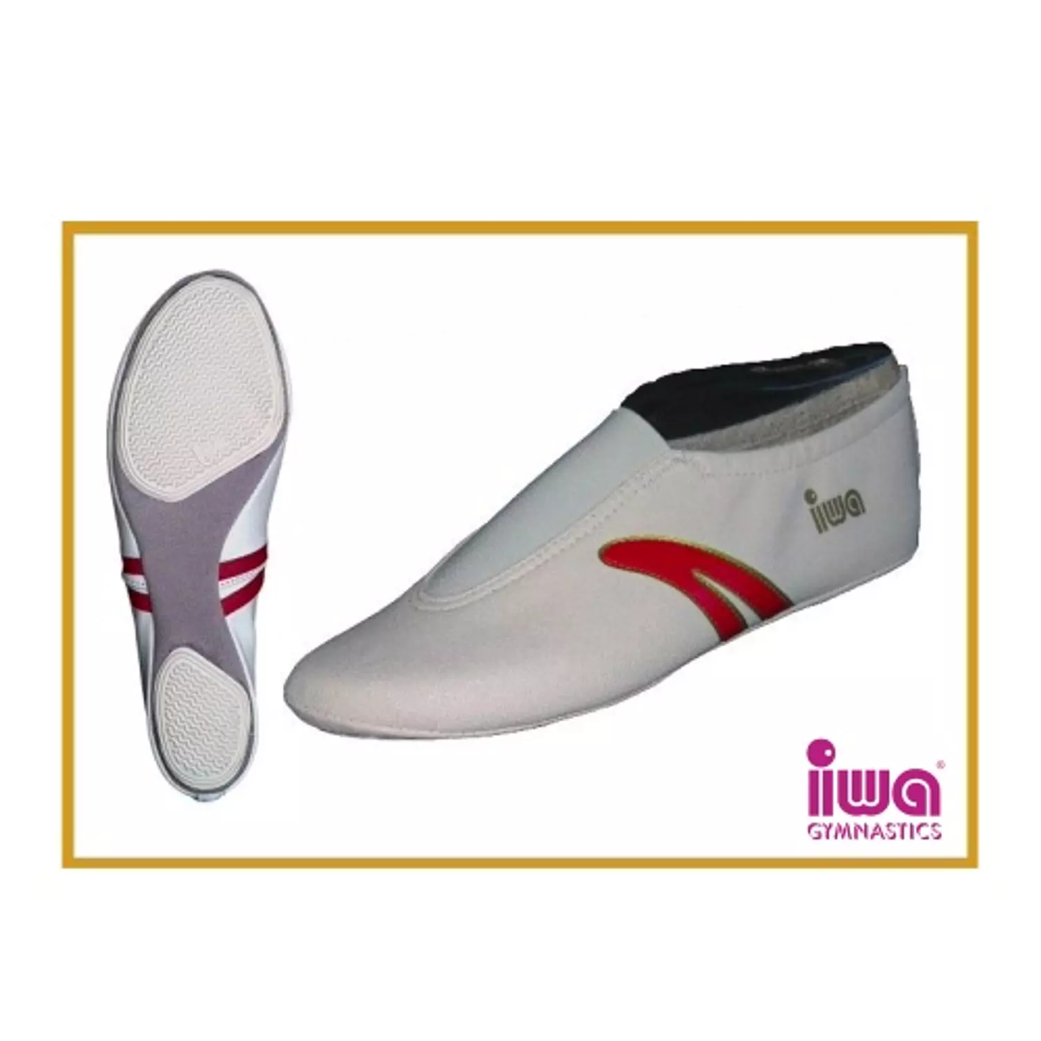 <p>IWA-Artistic Gymnastics Shoes </p>