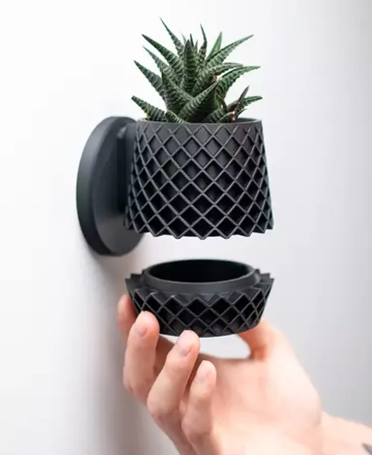 Lattice Planter 2