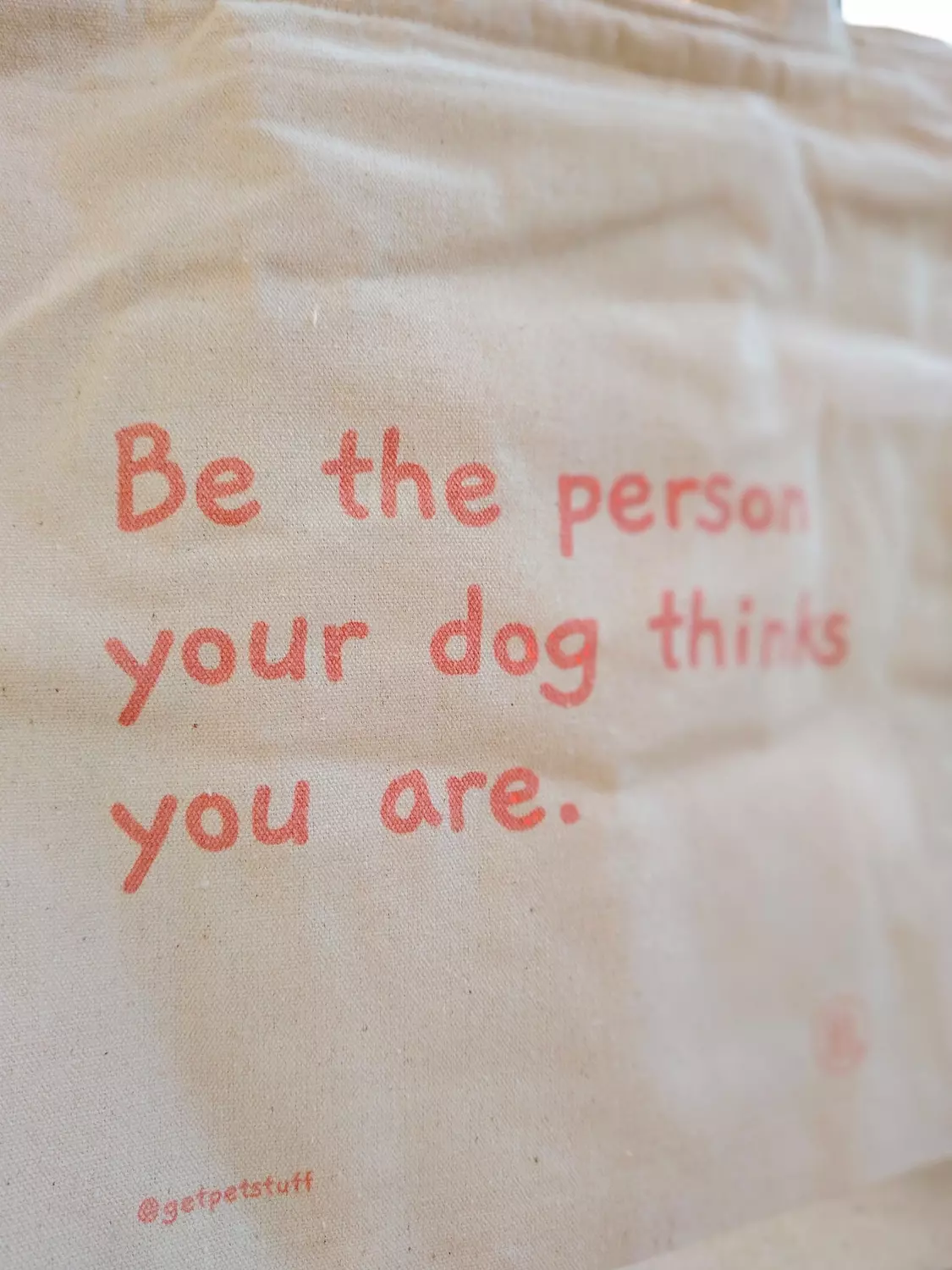 Dog Person Tote  3