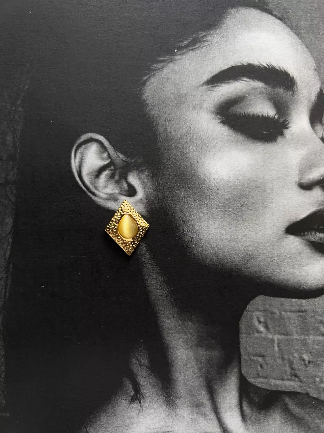 Oucr earrings  image