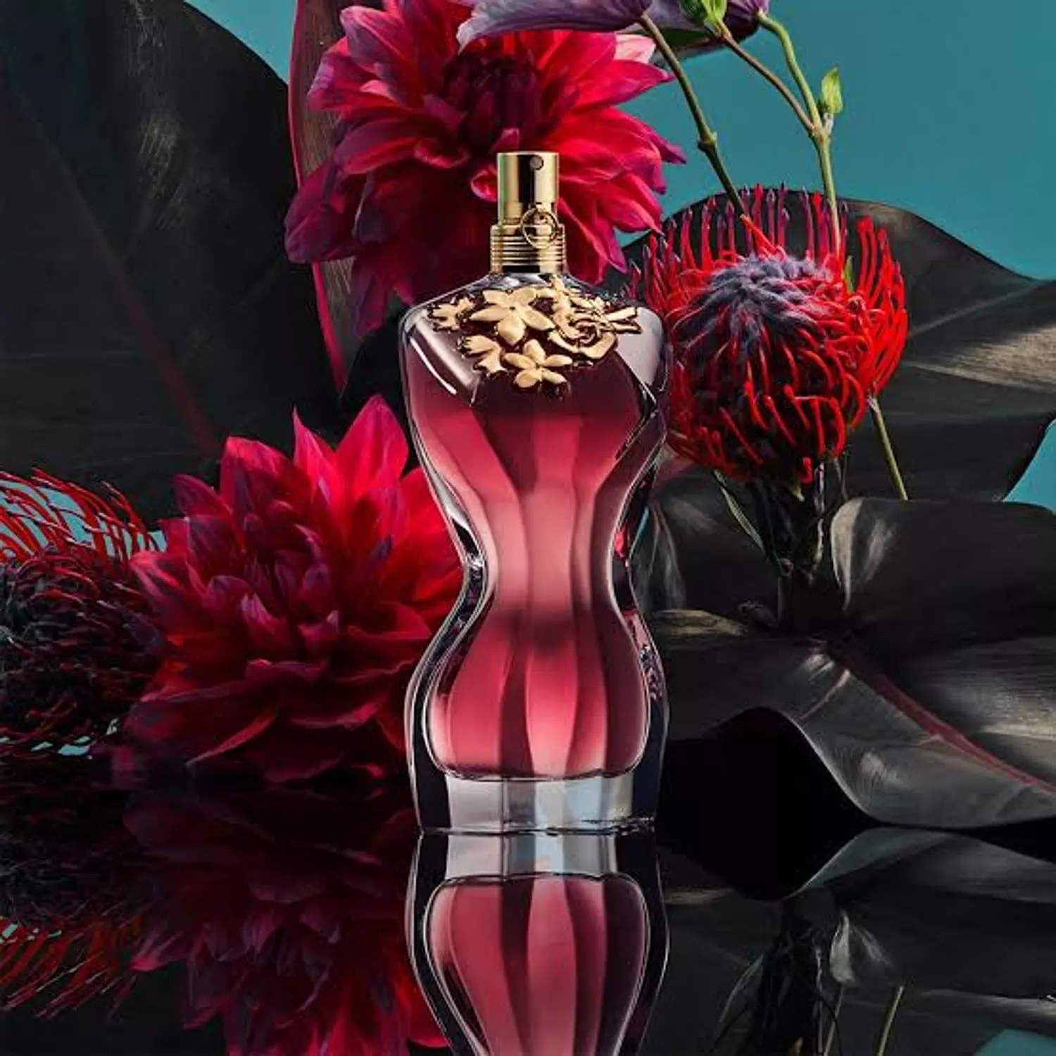 La Belle image
