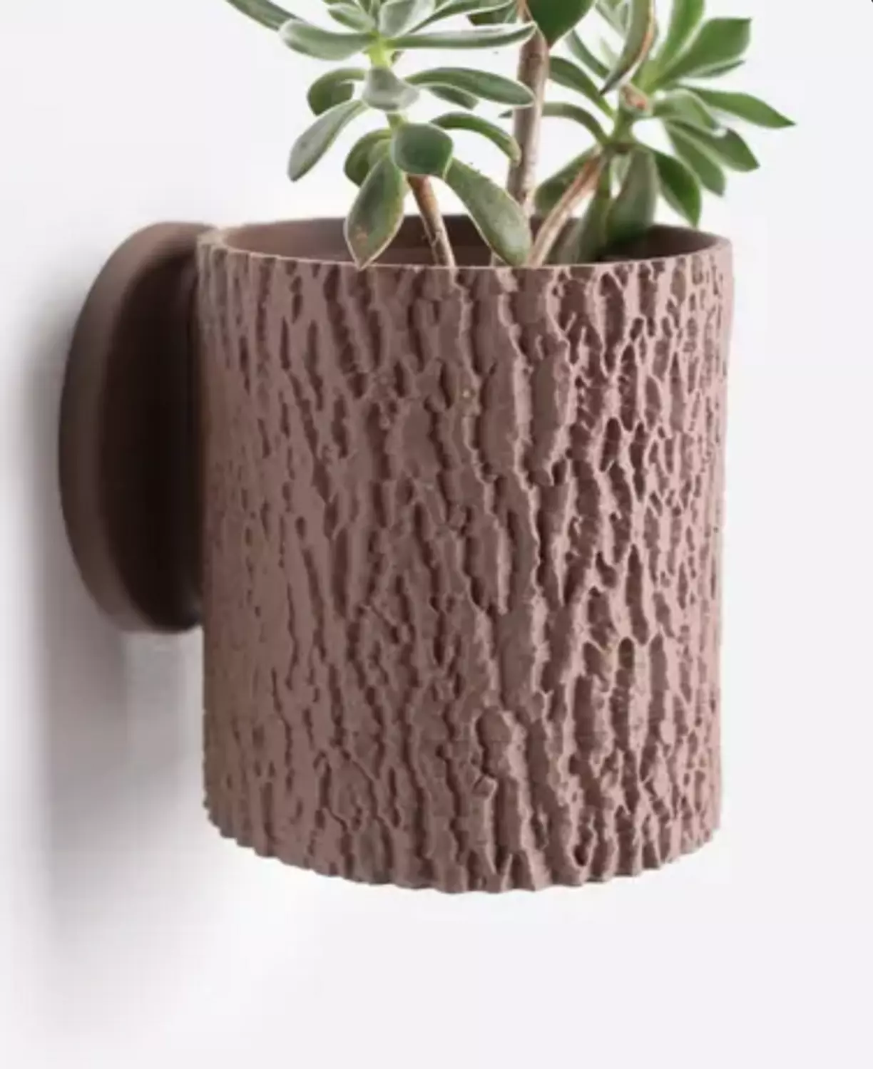 Tree Bark Planter image