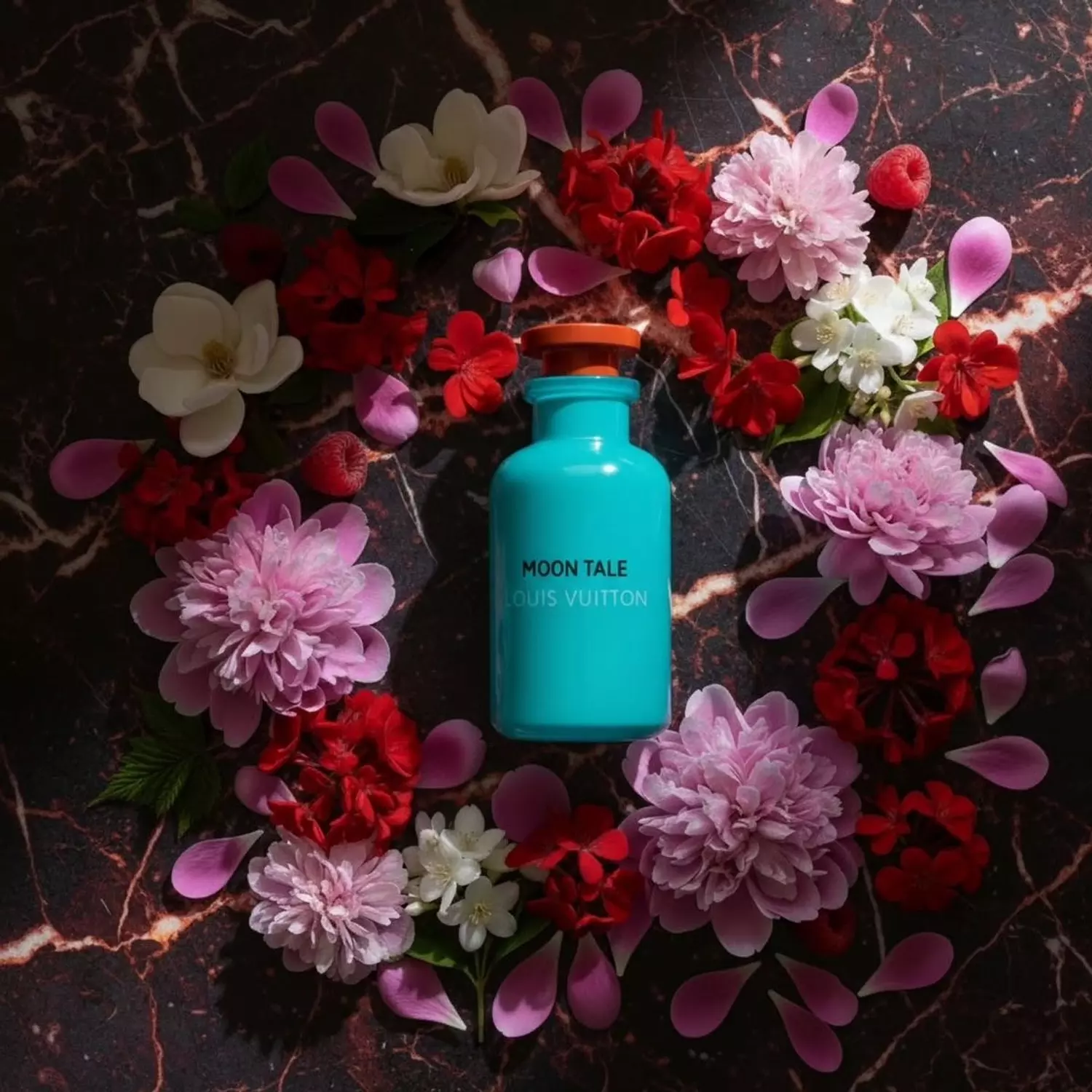 Louis Vuitton Moon Tale 1