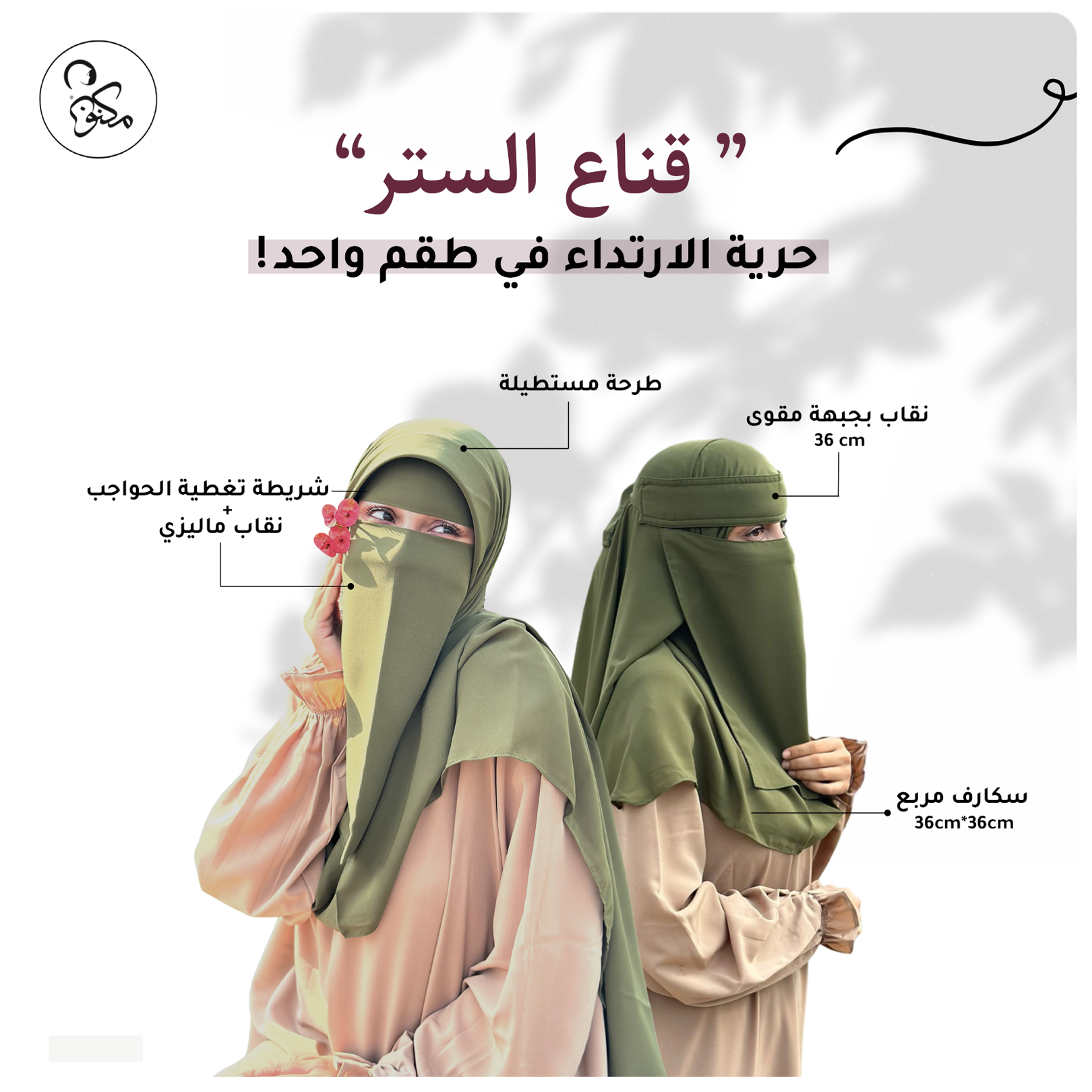 <h3>Veil of Modesty</h3>