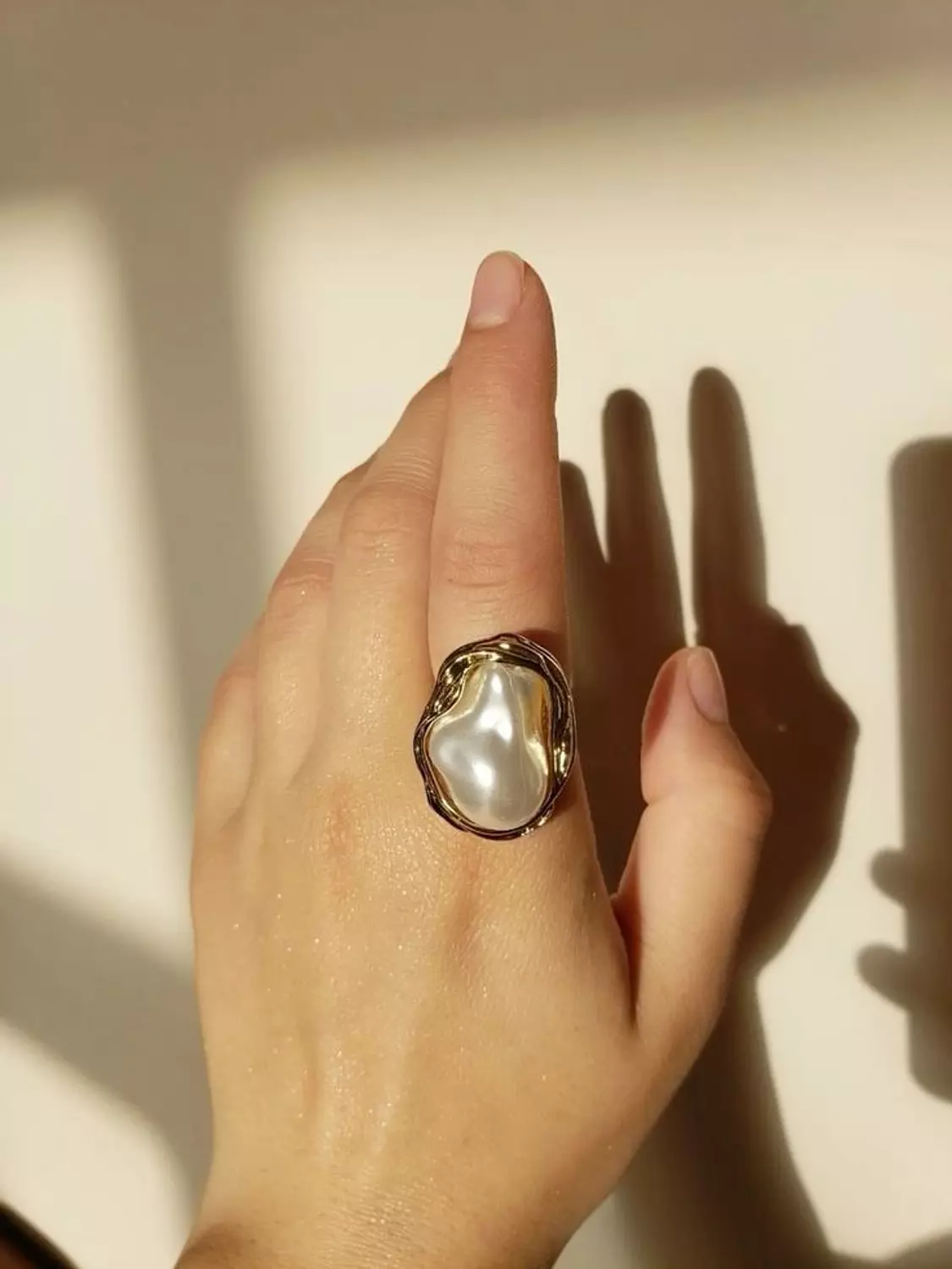 Ring R201 hover image