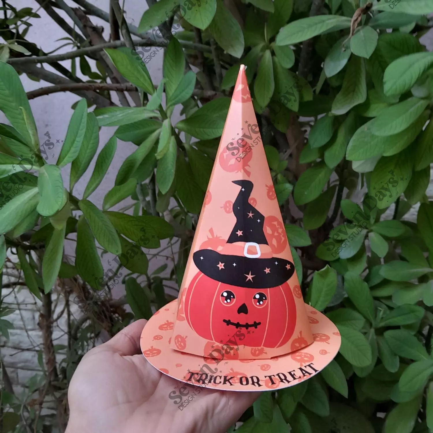 Halloween Witch Hat 6