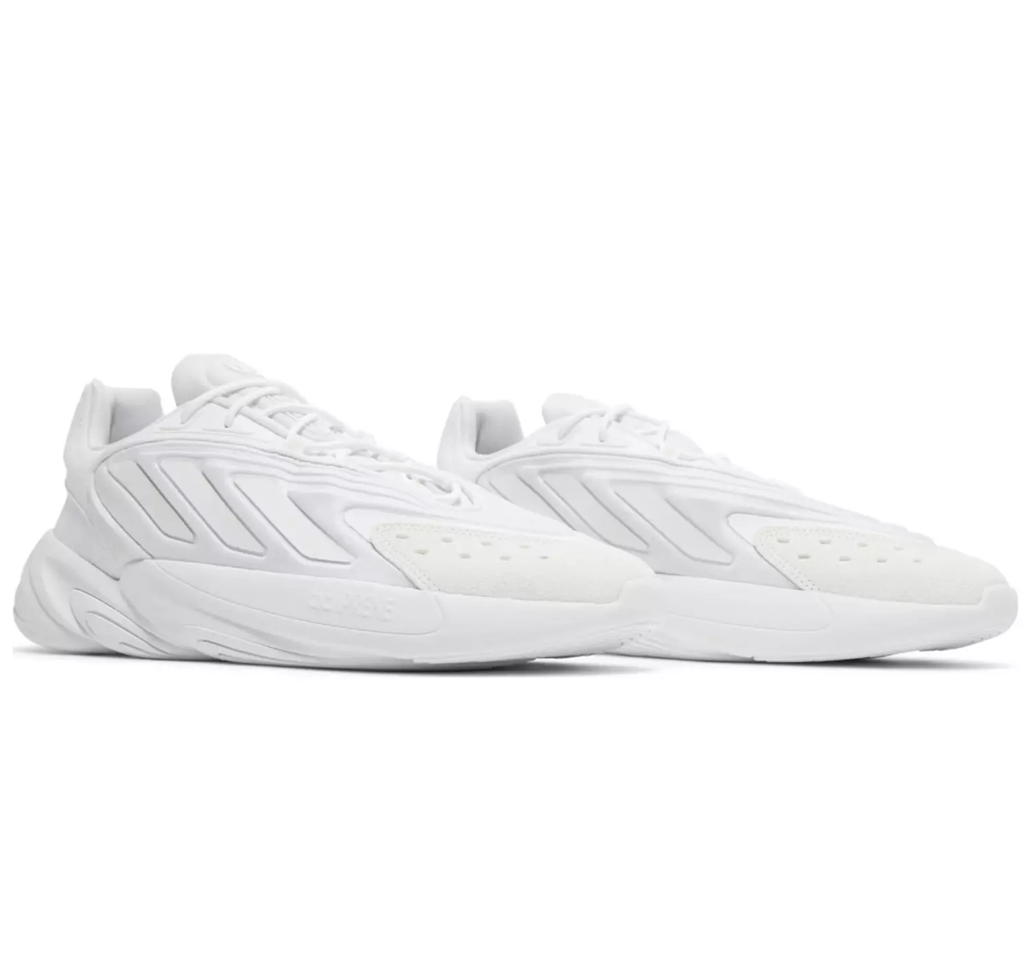 Ozelia 'Triple White' 5