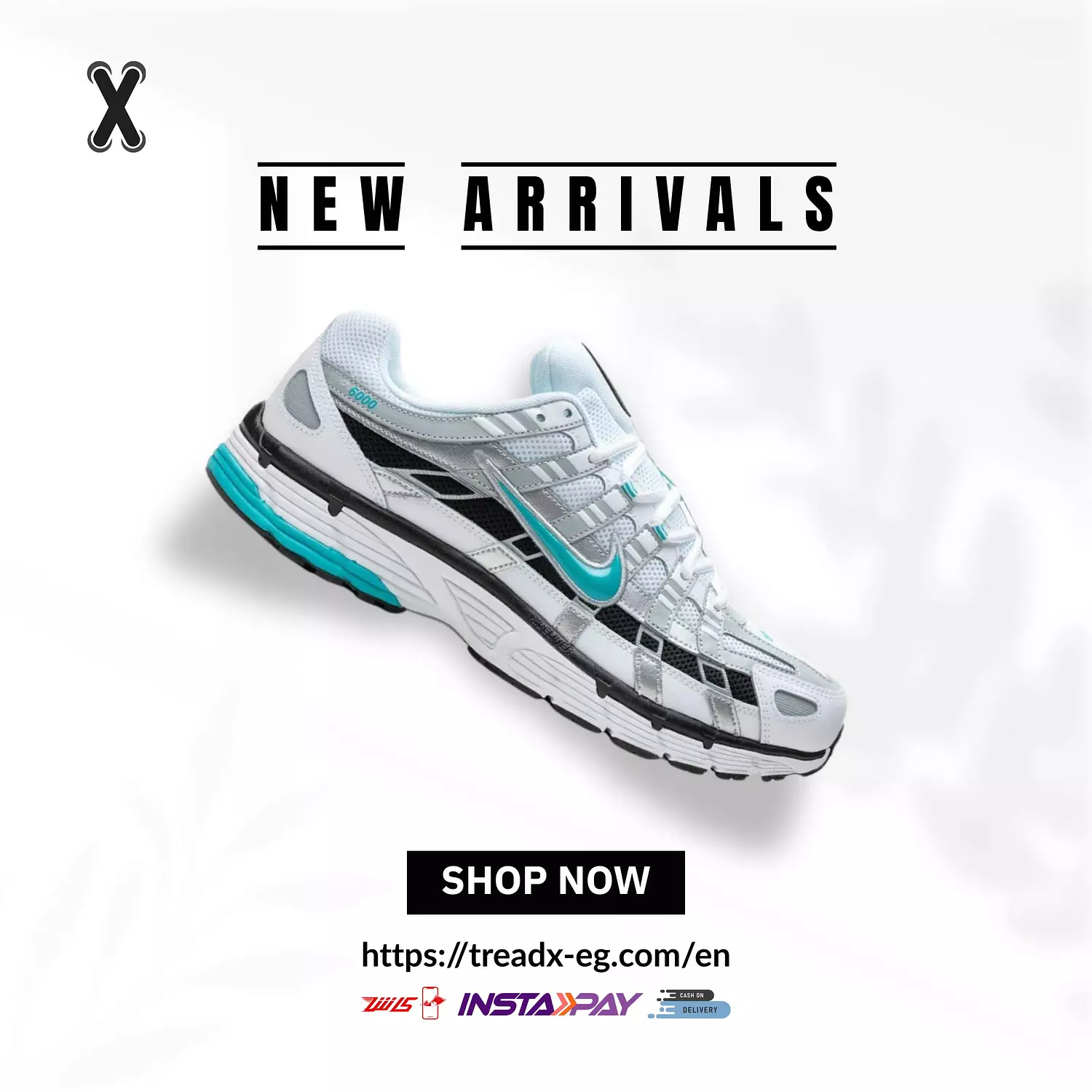 Nike P-6000 Dusty Cactus  image