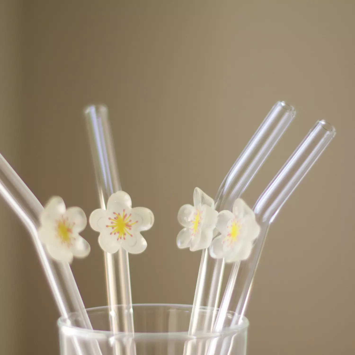 Daisy Starw 2