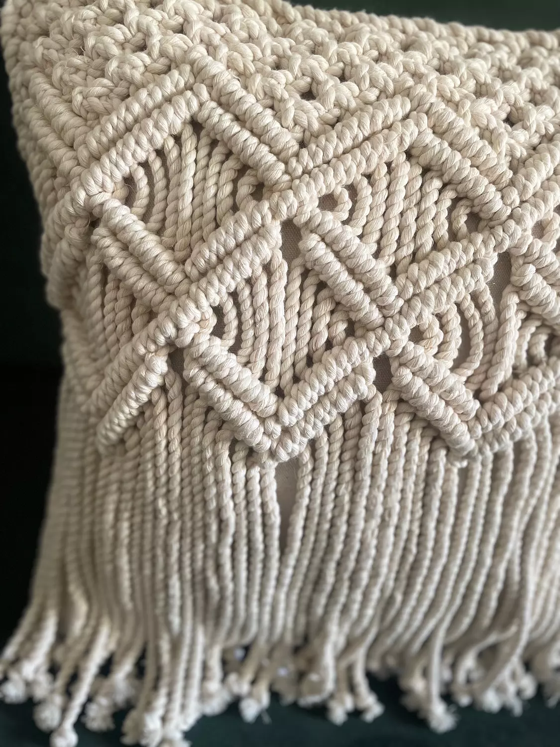 Wings Cotton Macrame Cushion      2