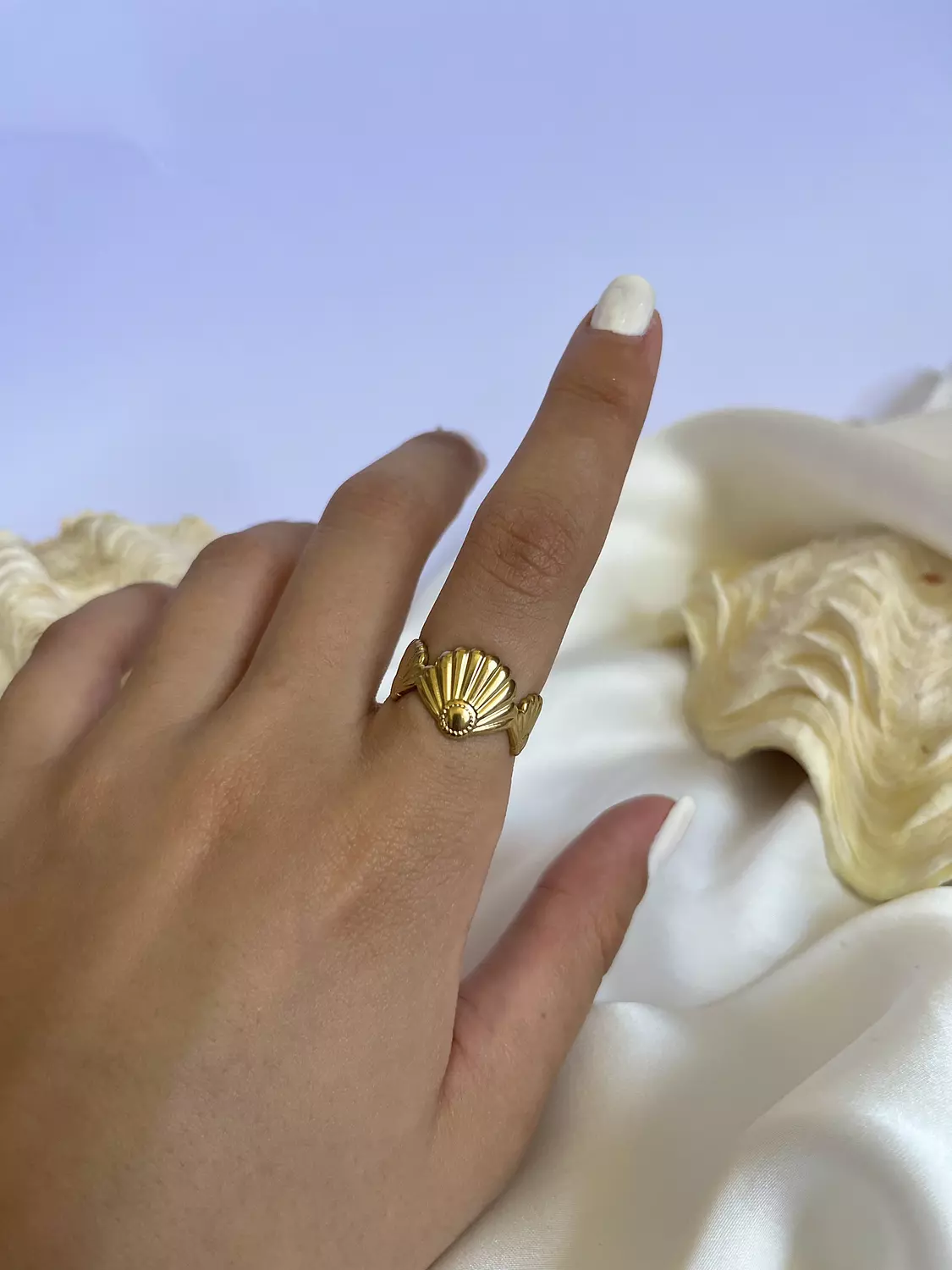 Shells image