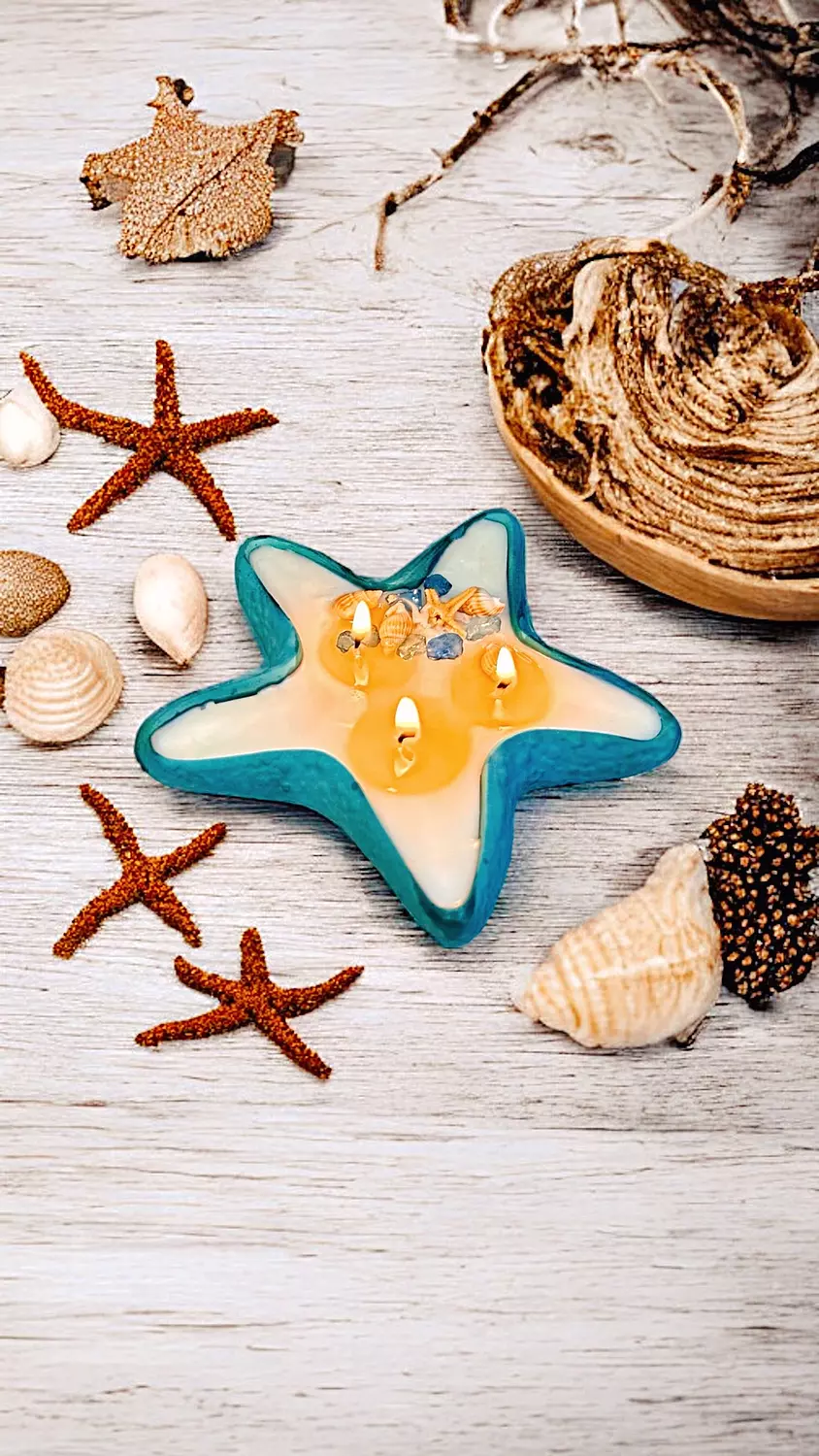 Star Fish 2